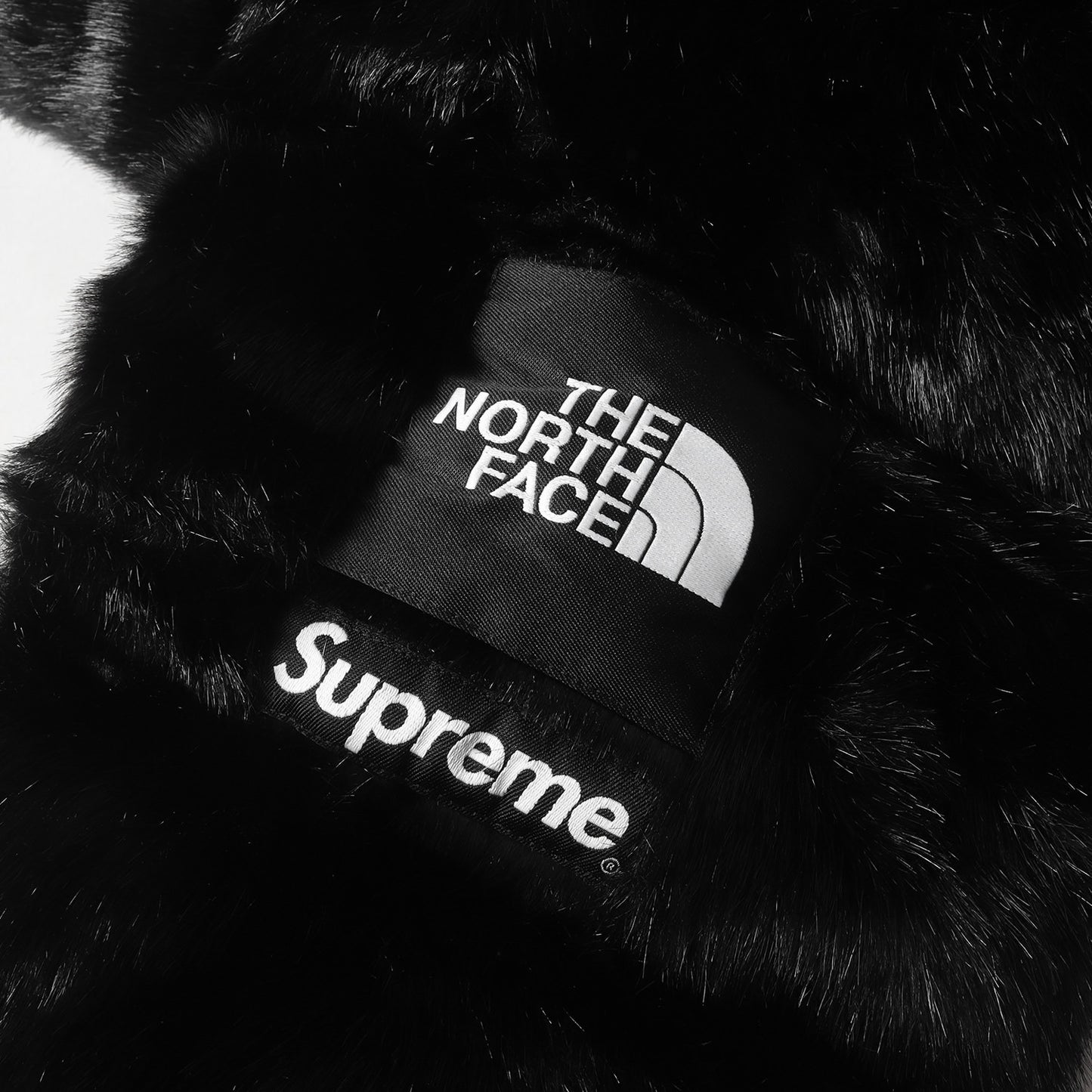 20AW ×THE NORTH FACE フェイクファー ヌプシ ダウンジャケット(Faux Fur Nuptse Jacket)