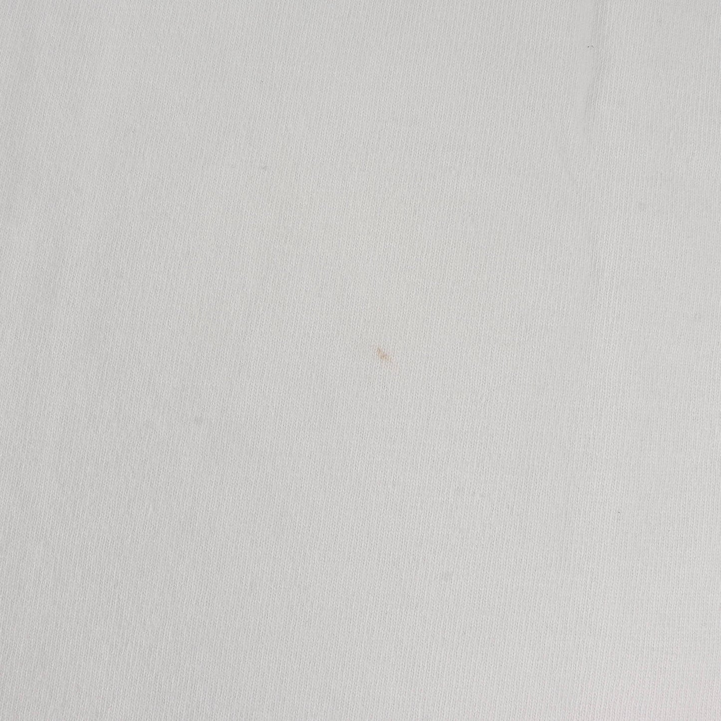 22SS ドッグ イラスト オーバーサイズ ヘビー Tシャツ(Dog Tee Grid Tee)