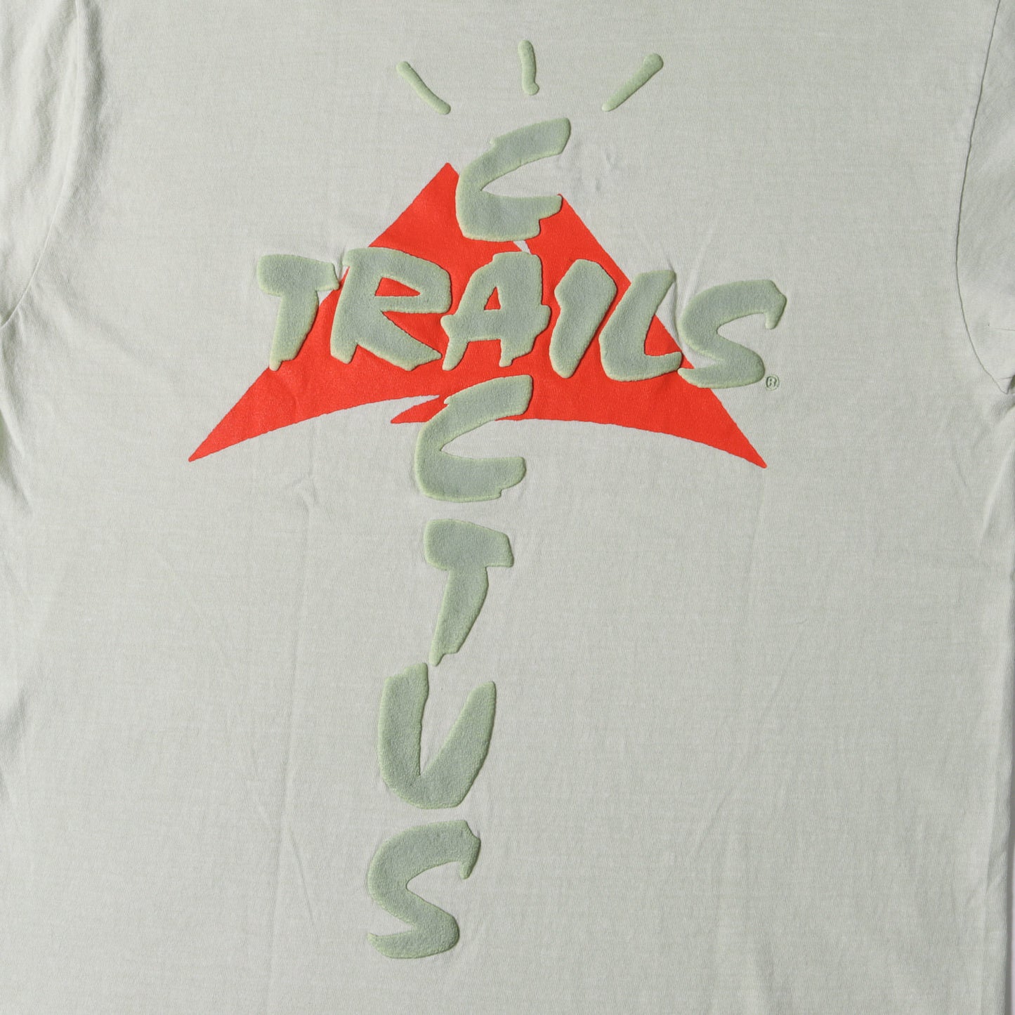 20SS Cactus Trails グラフィック プリント Tシャツ(Assn T-shirt)