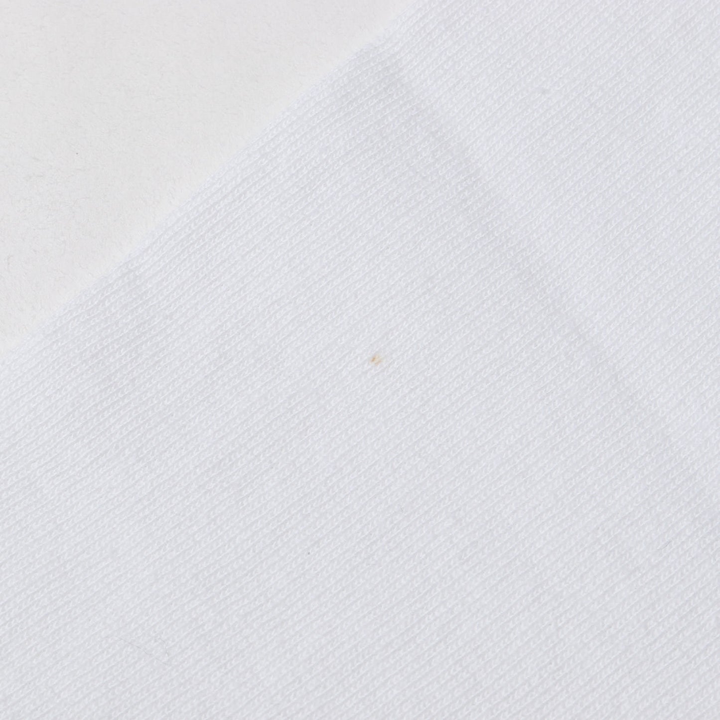 ×TOKISHIRAZU 復刻モデル 月桂樹ロゴ Tシャツ