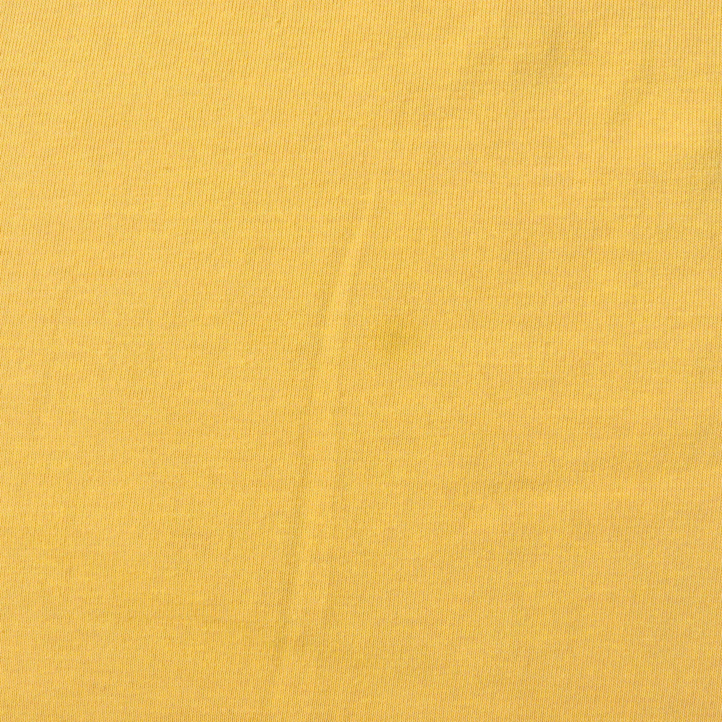 22AW スター ビッグロゴ バギー ロングスリーブTシャツ(STAR BIG LOGO TEAM BAGGY LS TEE)