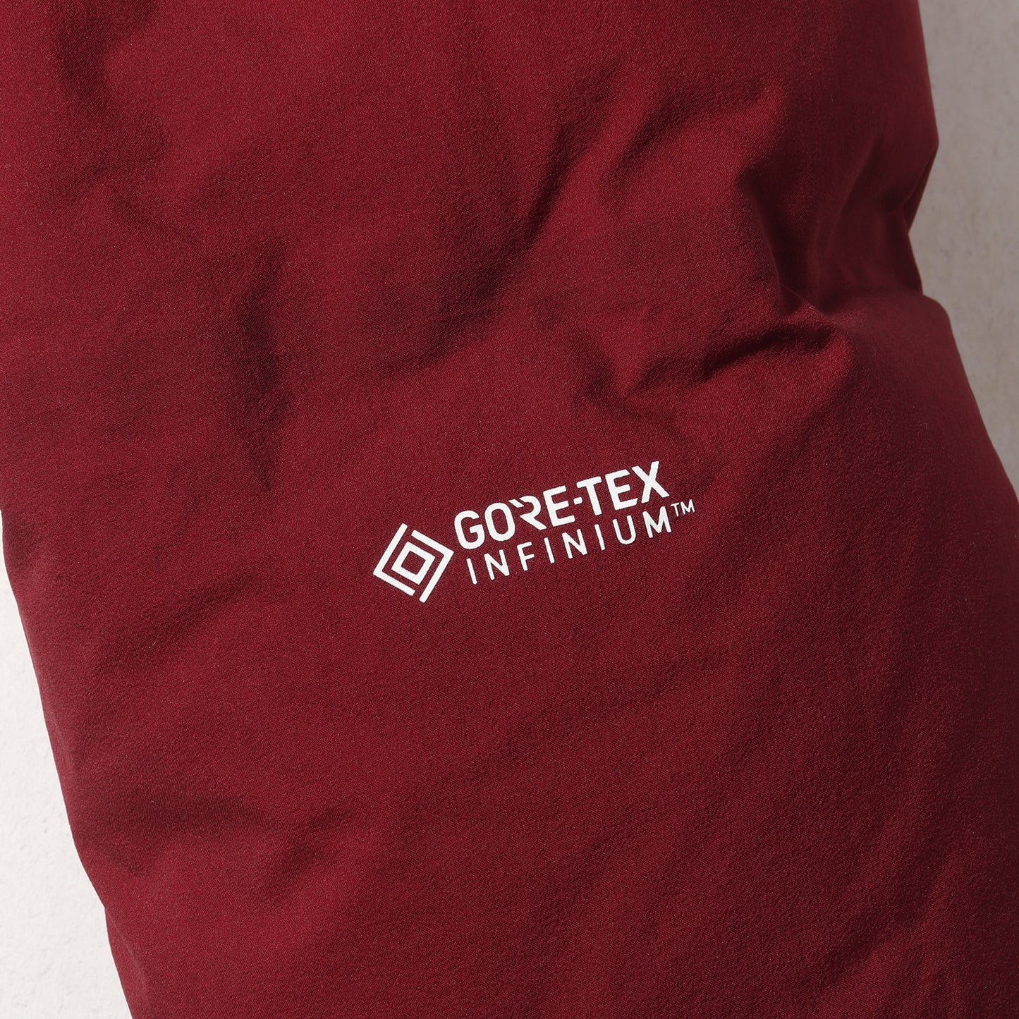 22AW GORE-TEX INFINIUM ビレイヤーパーカー / ダウンジャケット(Belayer Parka)