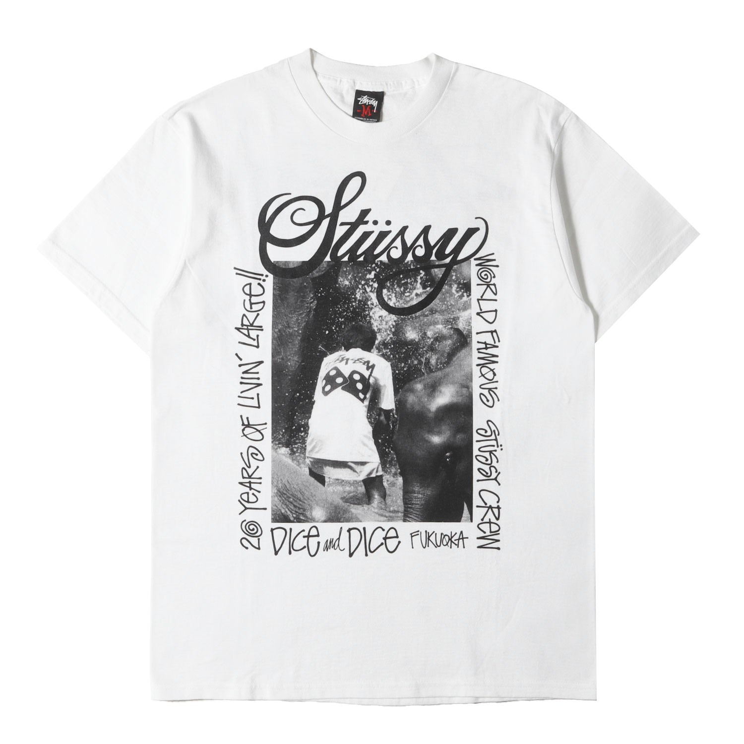 STUSSY (ステューシー) 00s ×Dice&Dice 20周年記念 フォトプリント T 