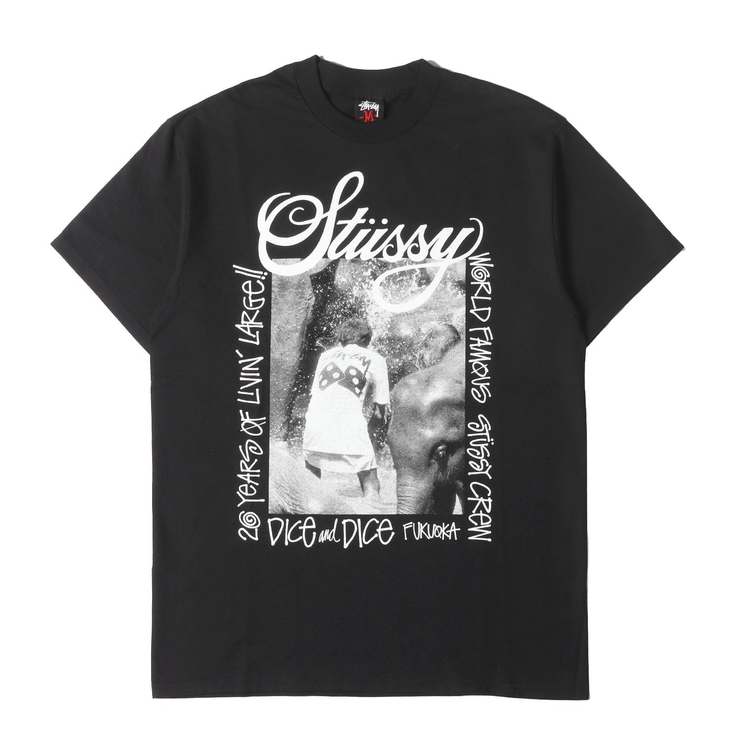 STUSSY (ステューシー) 00s ×Dice&Dice 20周年記念 フォトプリント T 