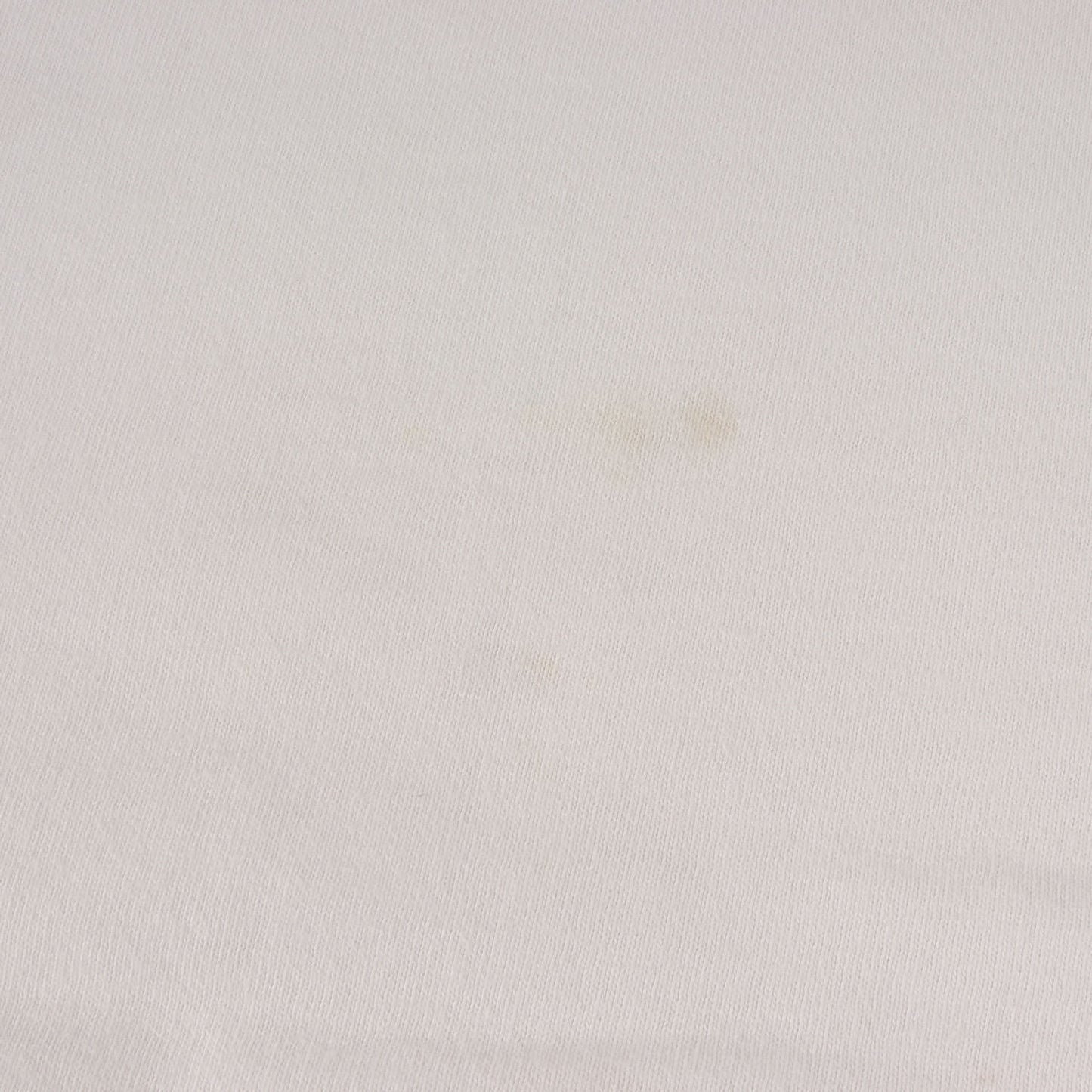 90s 初期モデル サークル 猿顔 Tシャツ(anvilボディ)