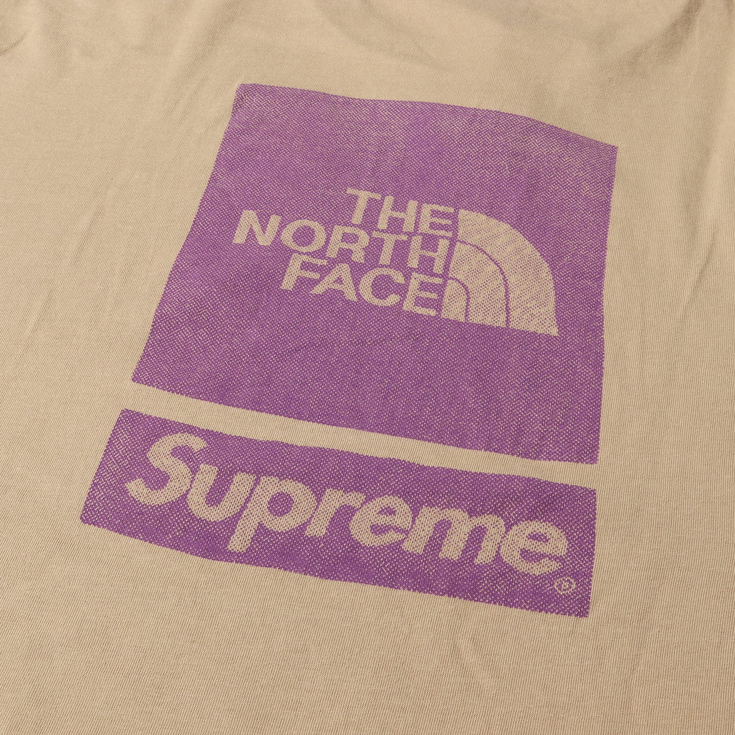 24SS ×THE NORTH FACE ロゴプリント クルーネック Tシャツ(S/S Top)