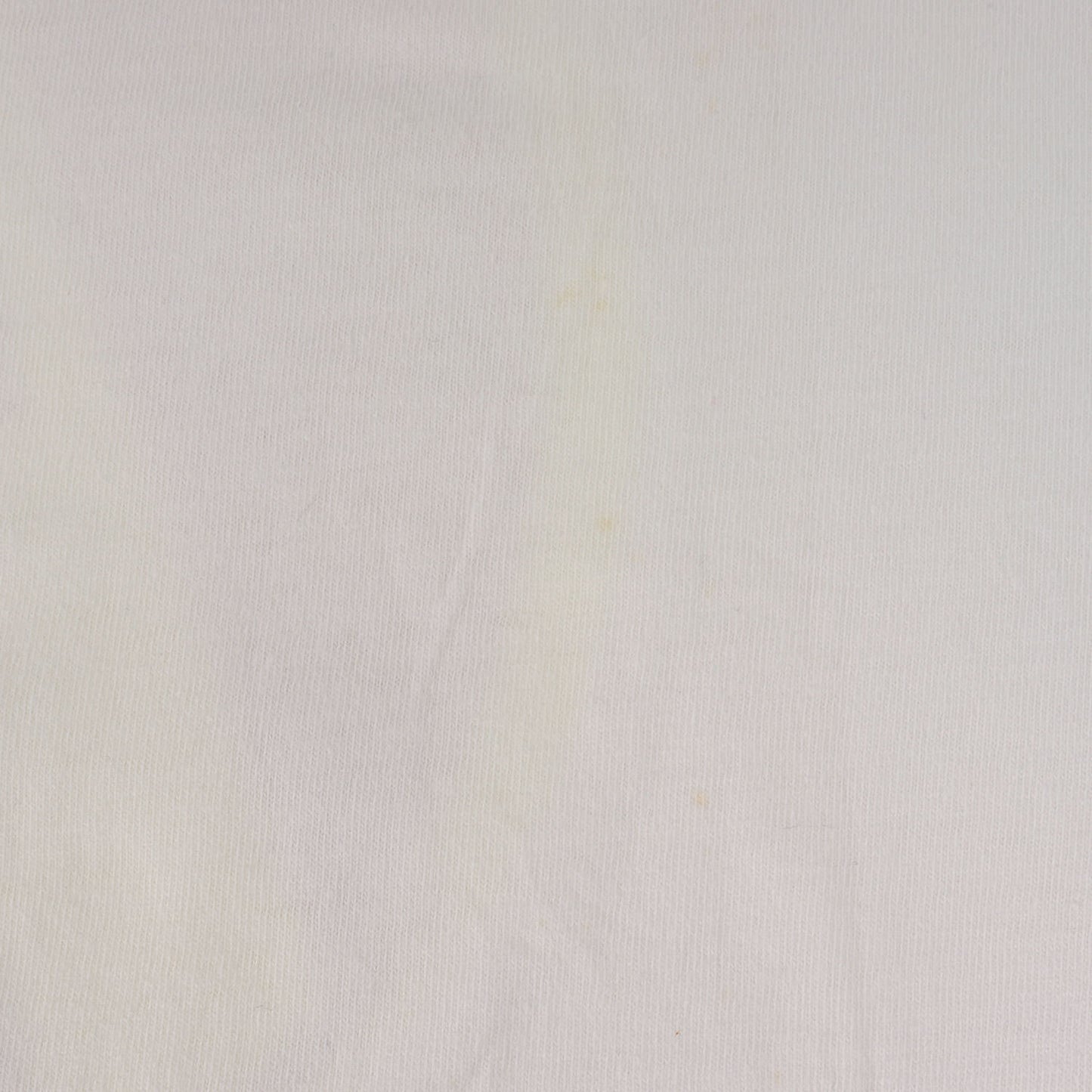 90s TINY PANX LAST ORGY Tシャツ(ONEITAボディ)