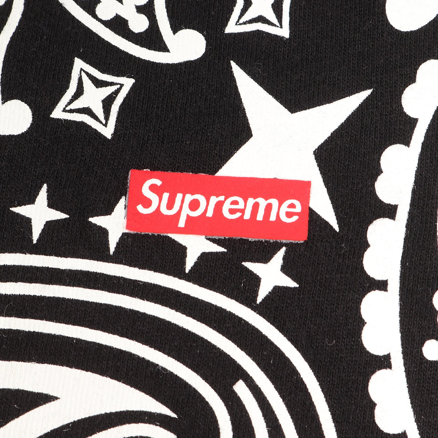 22AW ×Hanes バンダナ柄 クルーネック Tシャツ(Bandana Tagless Tees)