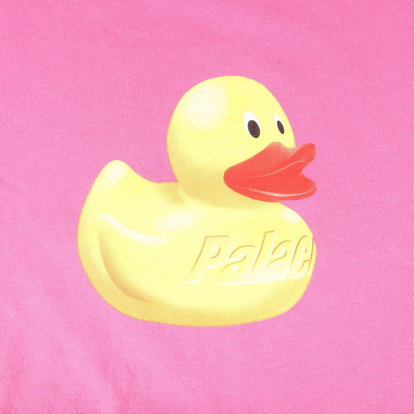 22AW アヒル グラフィック Tシャツ(Ducky T-Shirt)