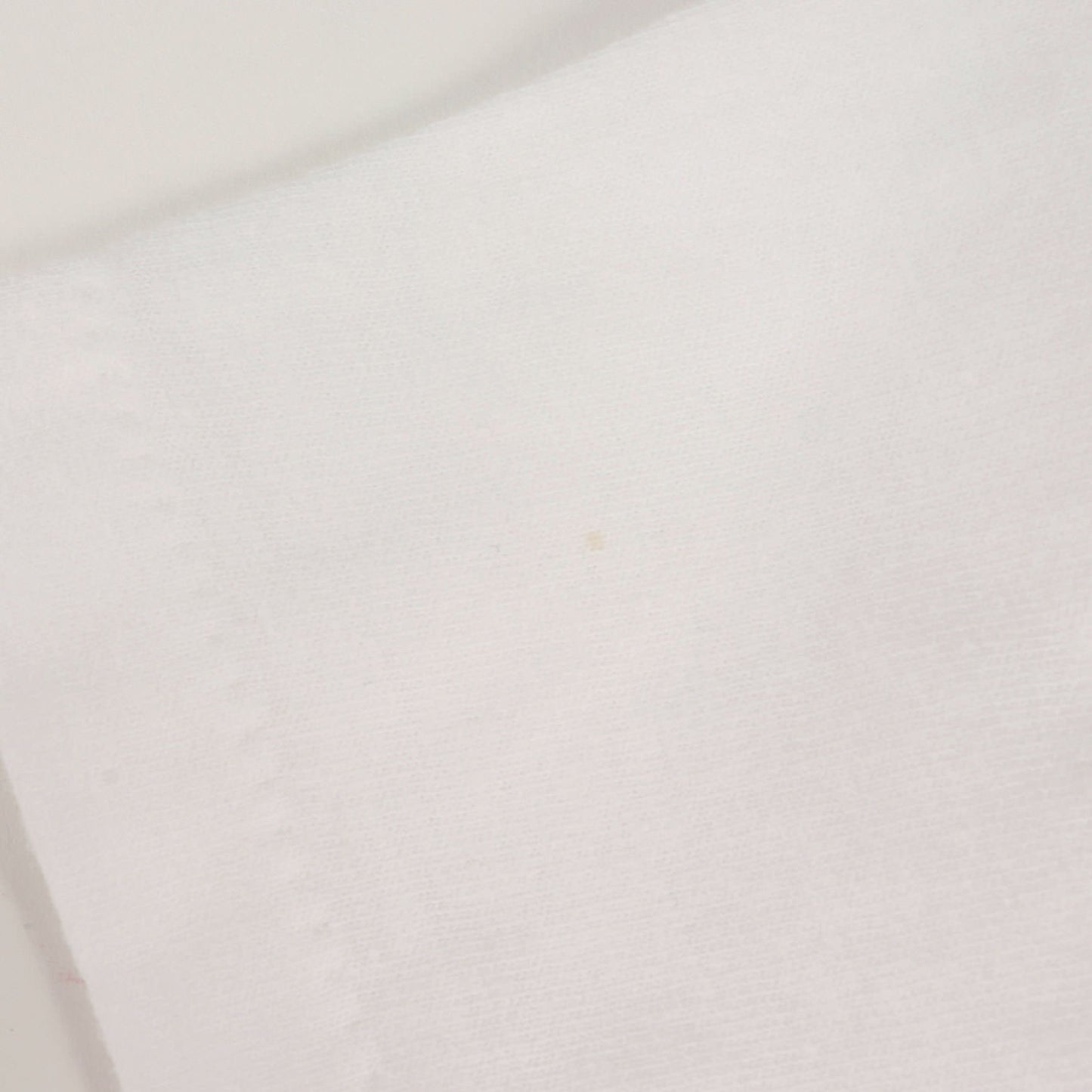 90s 初期 吹き出しタグ 猿の惑星 ノバ Tシャツ(ONEITAボディ)