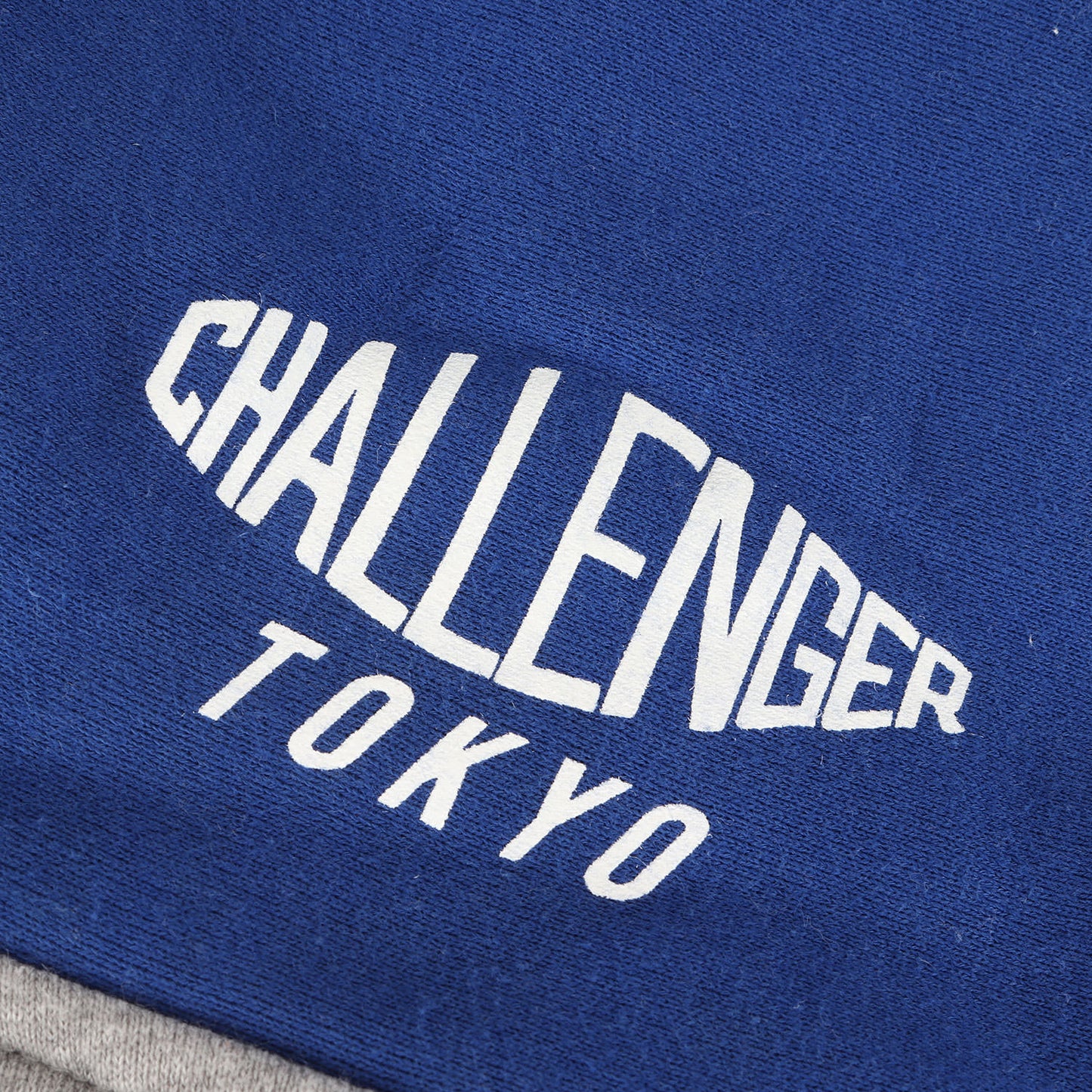 フードロゴ ジップ スウェット パーカー(ZIP PRINTED HOODIE)