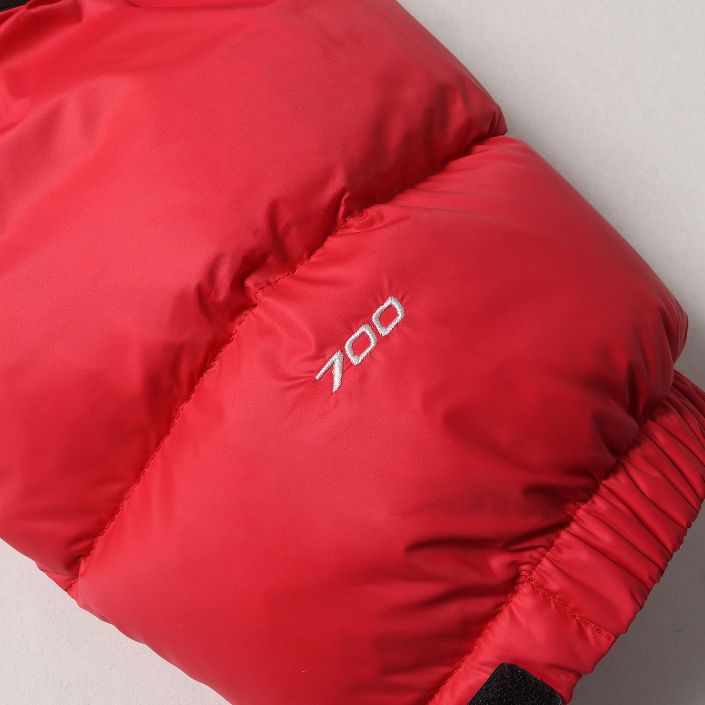 ×THE NORTH FACE 自由の女神 バルトロ ダウンジャケット(Statue of Liberty Baltoro Jacket)