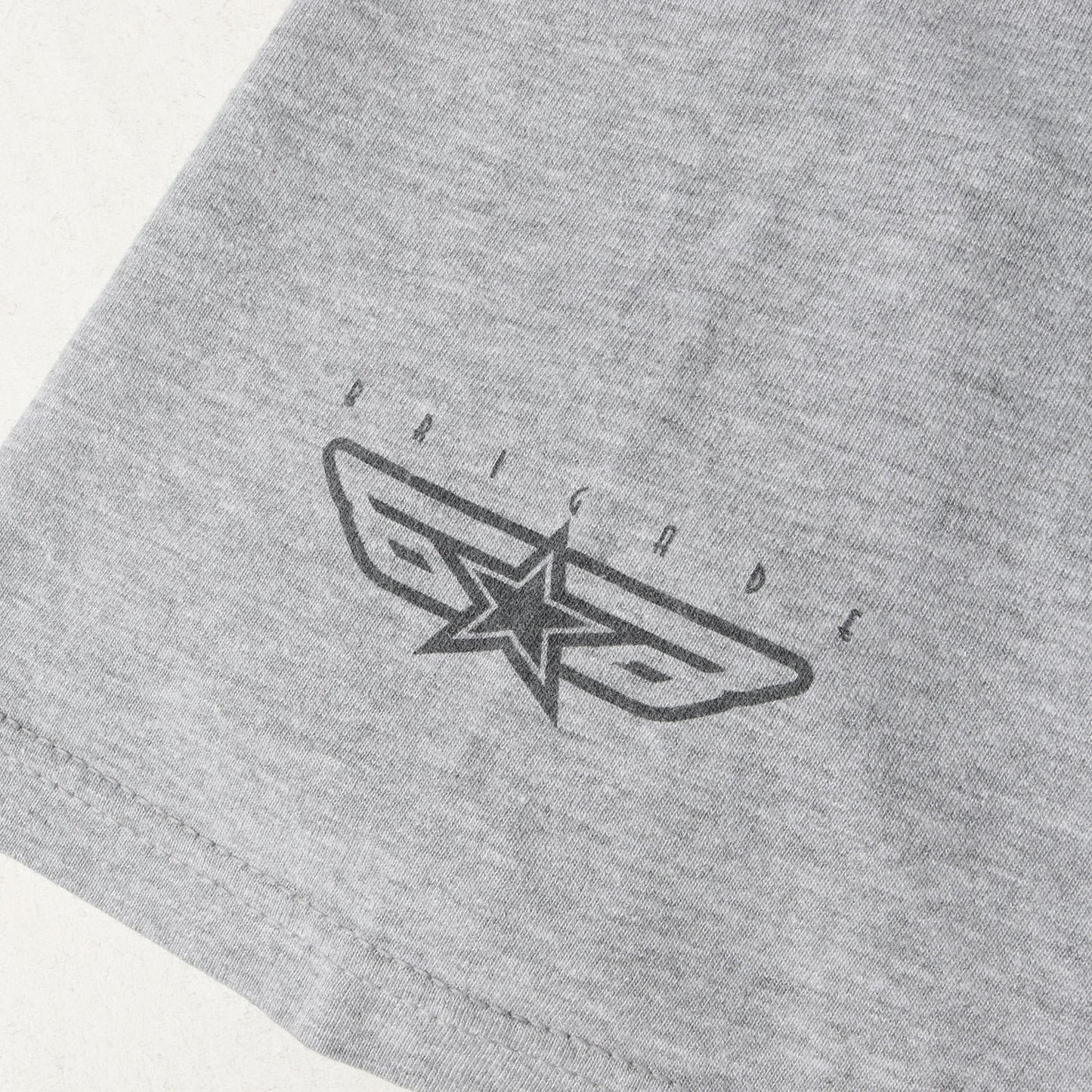 00s アニマル・チン Tシャツ / POWELL PERALTA The Search for Animal Chin