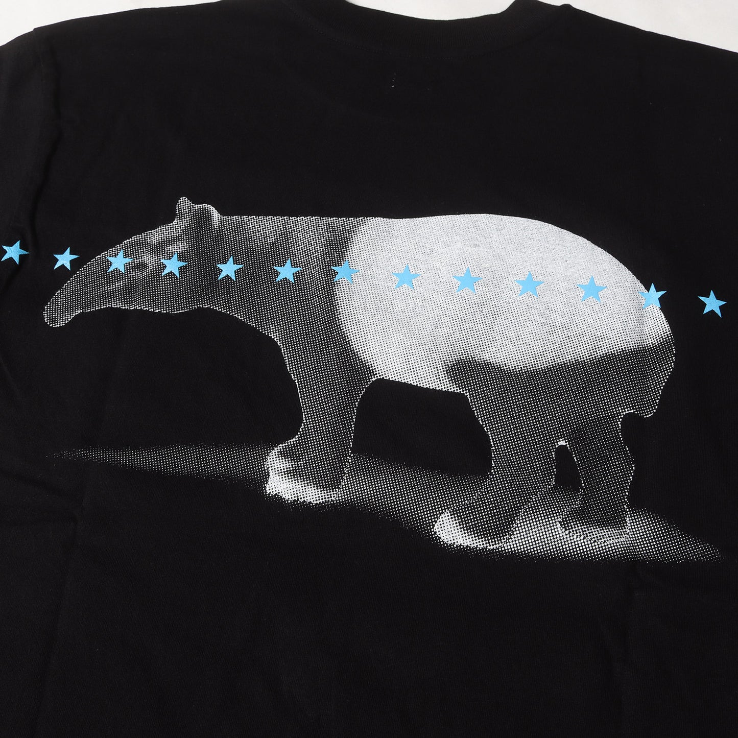 21SS バク フォト Tシャツ(T-SHIRT)