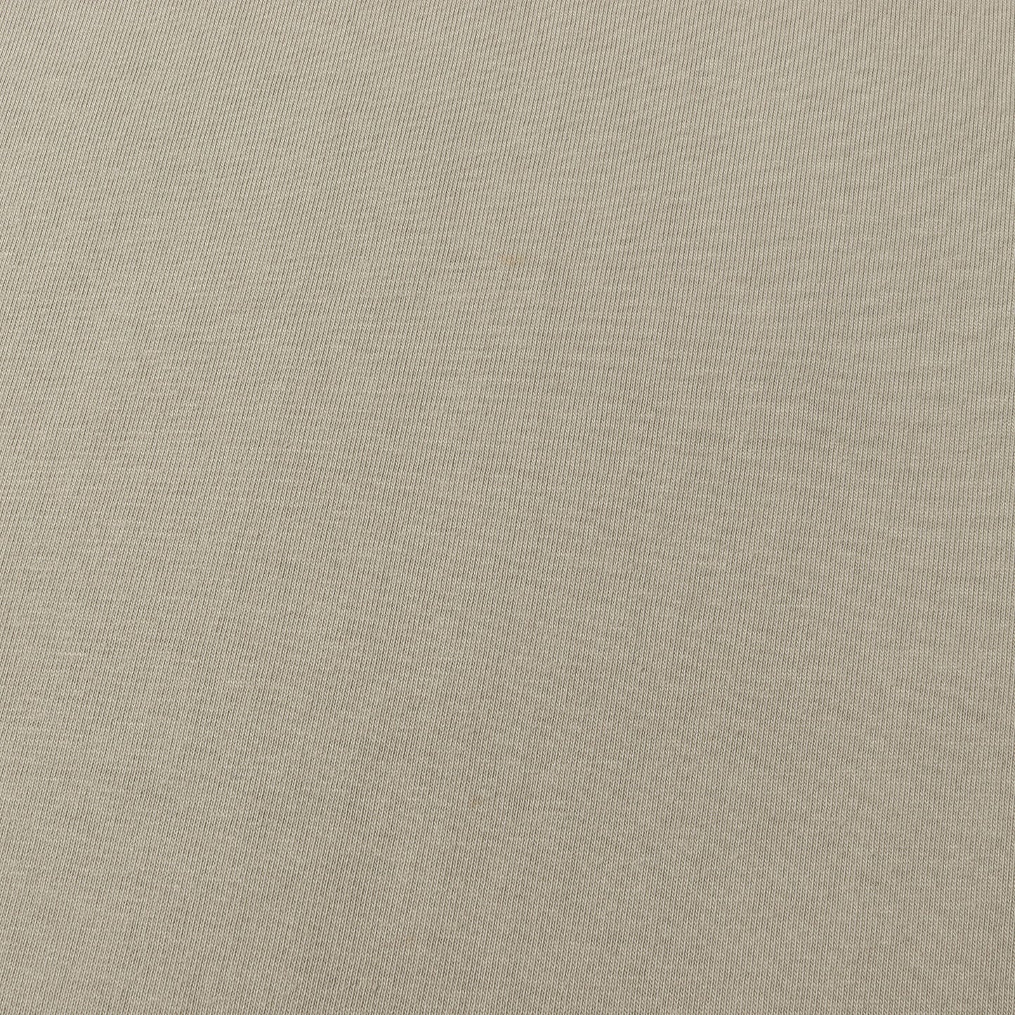 FOG ESSENTIALS オーバーサイズ フロッキープリント Tシャツ