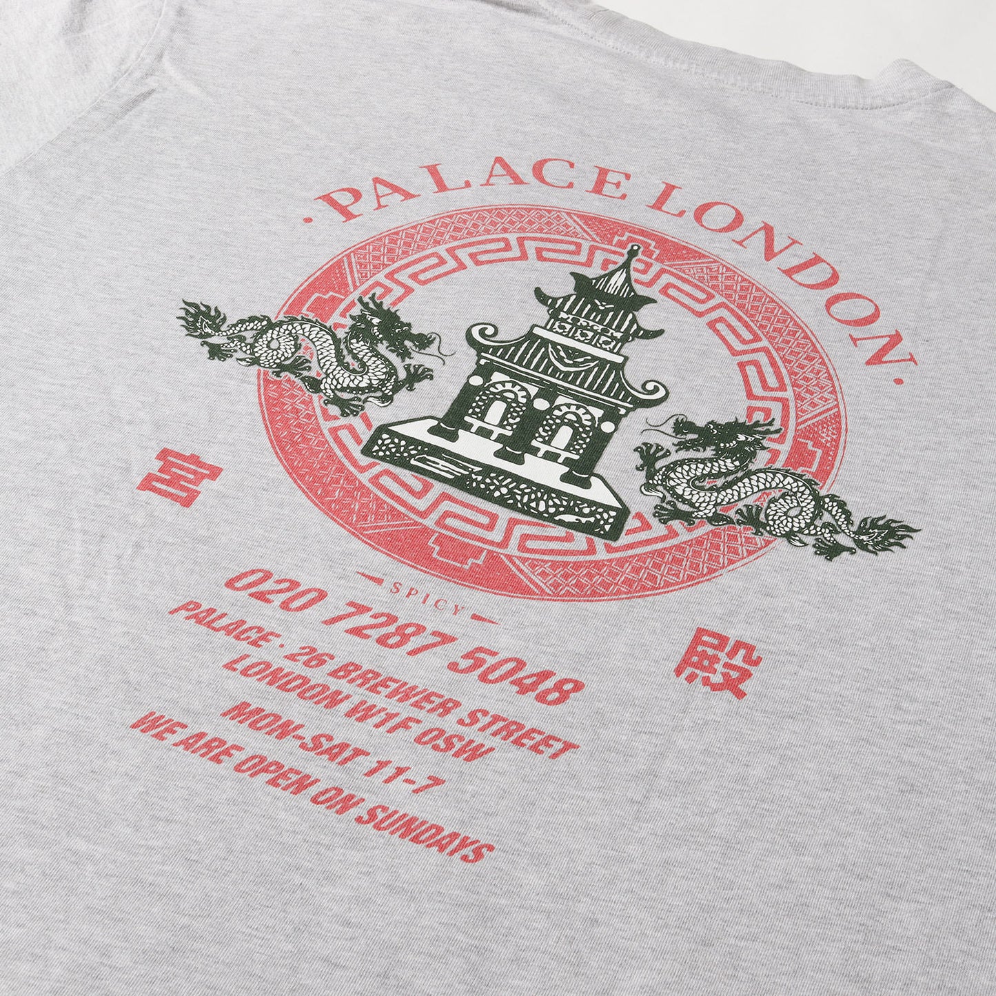 23SS ドラゴン グラフィック Tシャツ(Fortunate T-Shirt)