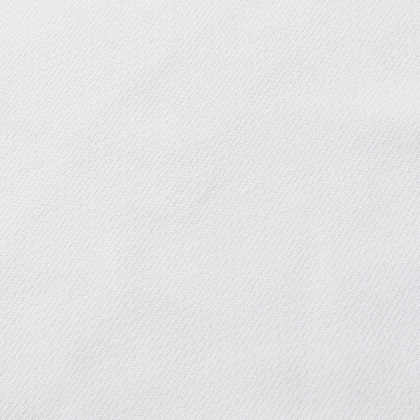 24SS ブランドロゴ ジャージー Tシャツ(AUTHENTIC LOGO TEE)