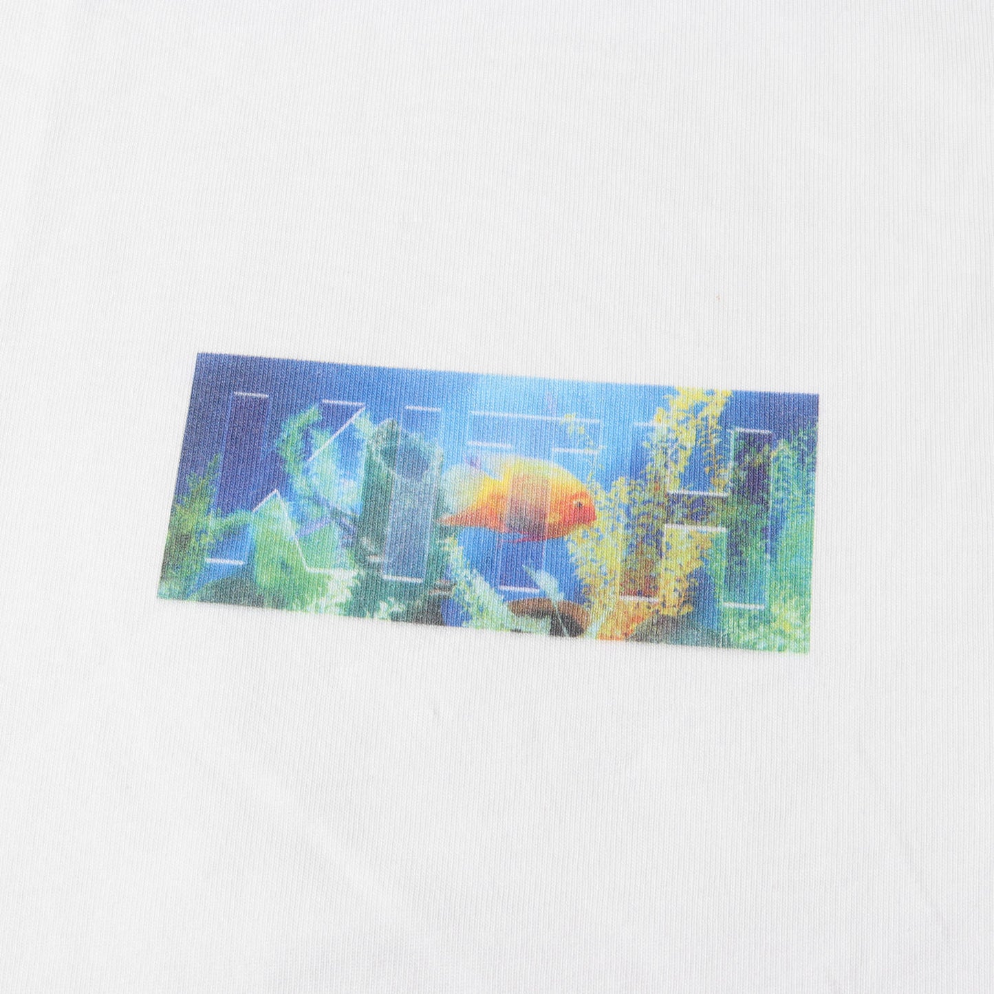 21SS 熱帯魚 BOXロゴ Tシャツ(Fish Tank Classic Logo Tee)