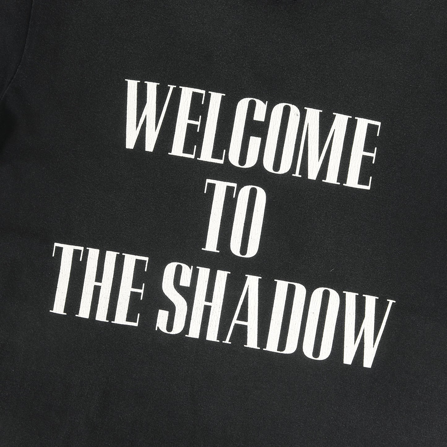 06SS ローズ期 ダメージ加工 メッセージロゴ Tシャツ