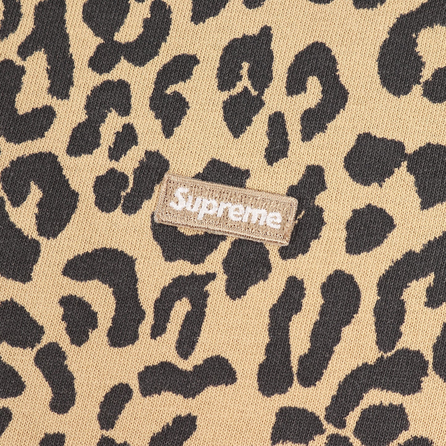 23AW レオパード柄 スモールBOXロゴ ロングスリーブ Tシャツ(Small Box L/S Tee)