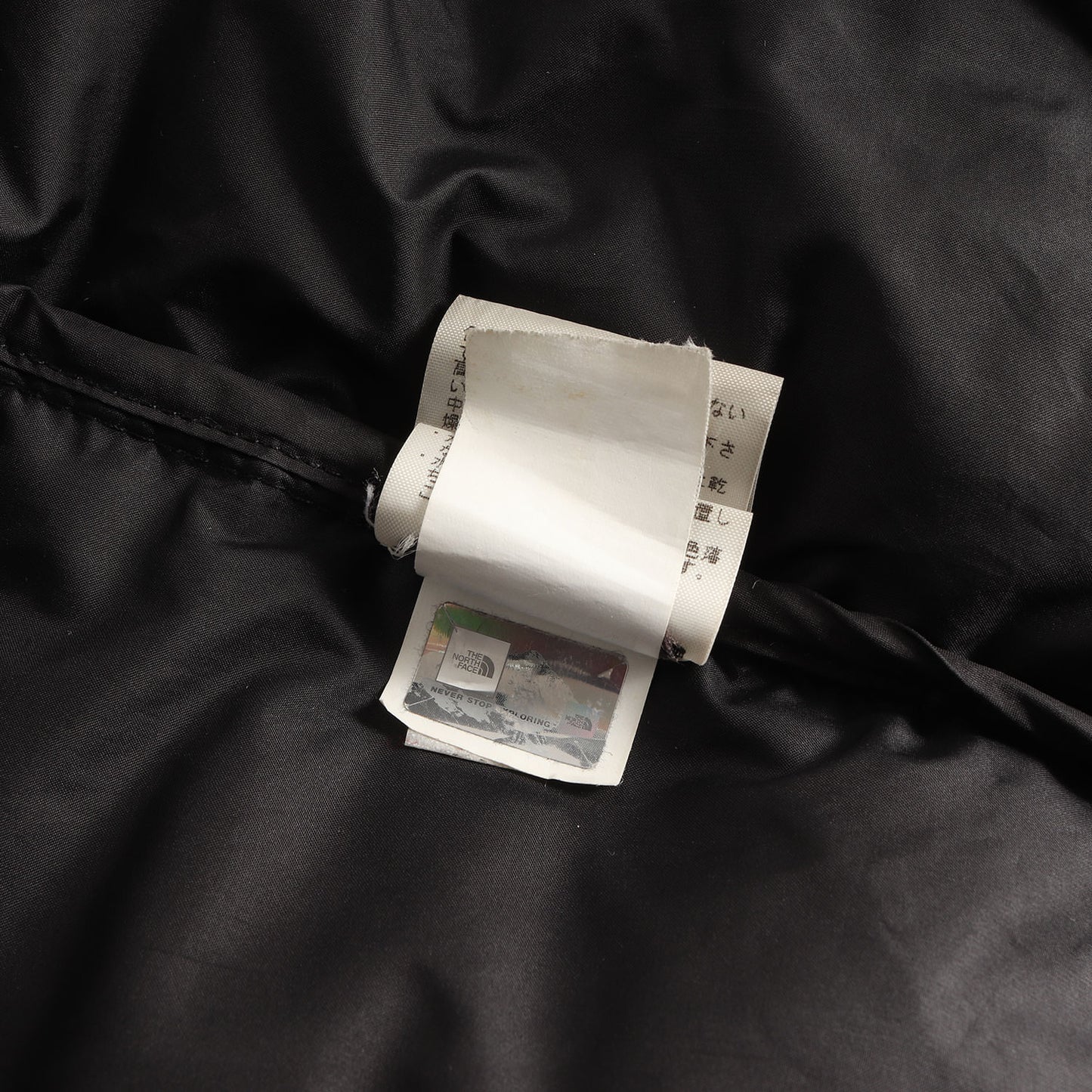 ×THE NORTH FACE リーフハンティングカモ ヌプシ ダウンジャケット(Nuptse Jacket)