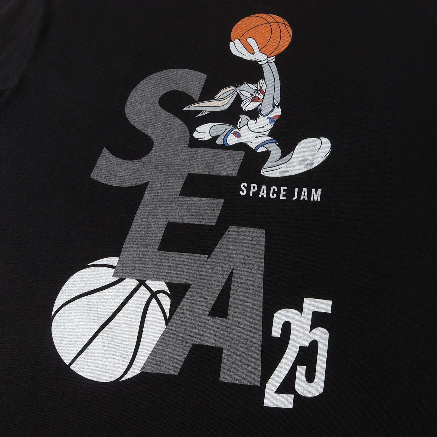 22SS ×SPACE JAM キャラクター刺繍 Tシャツ