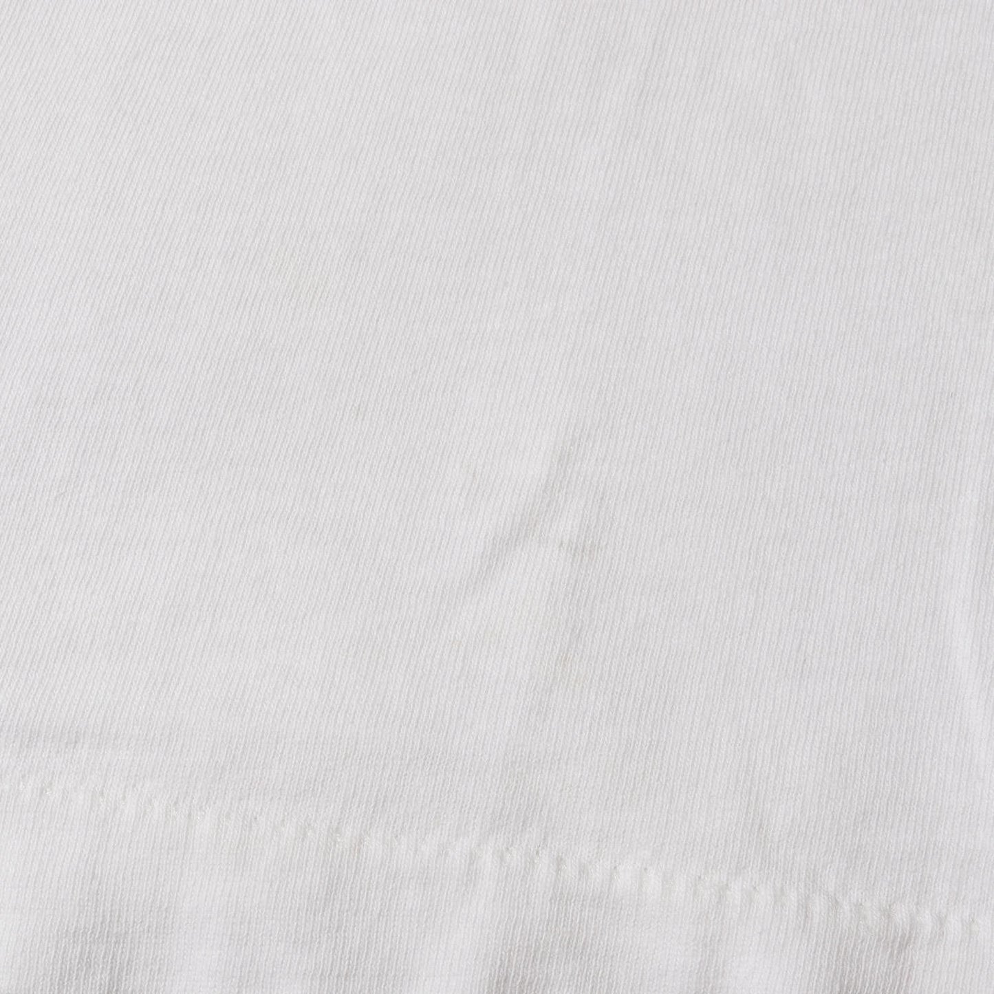 80s OLD STUSSY 黒タグ T-REX 恐竜 Tシャツ(USA製)