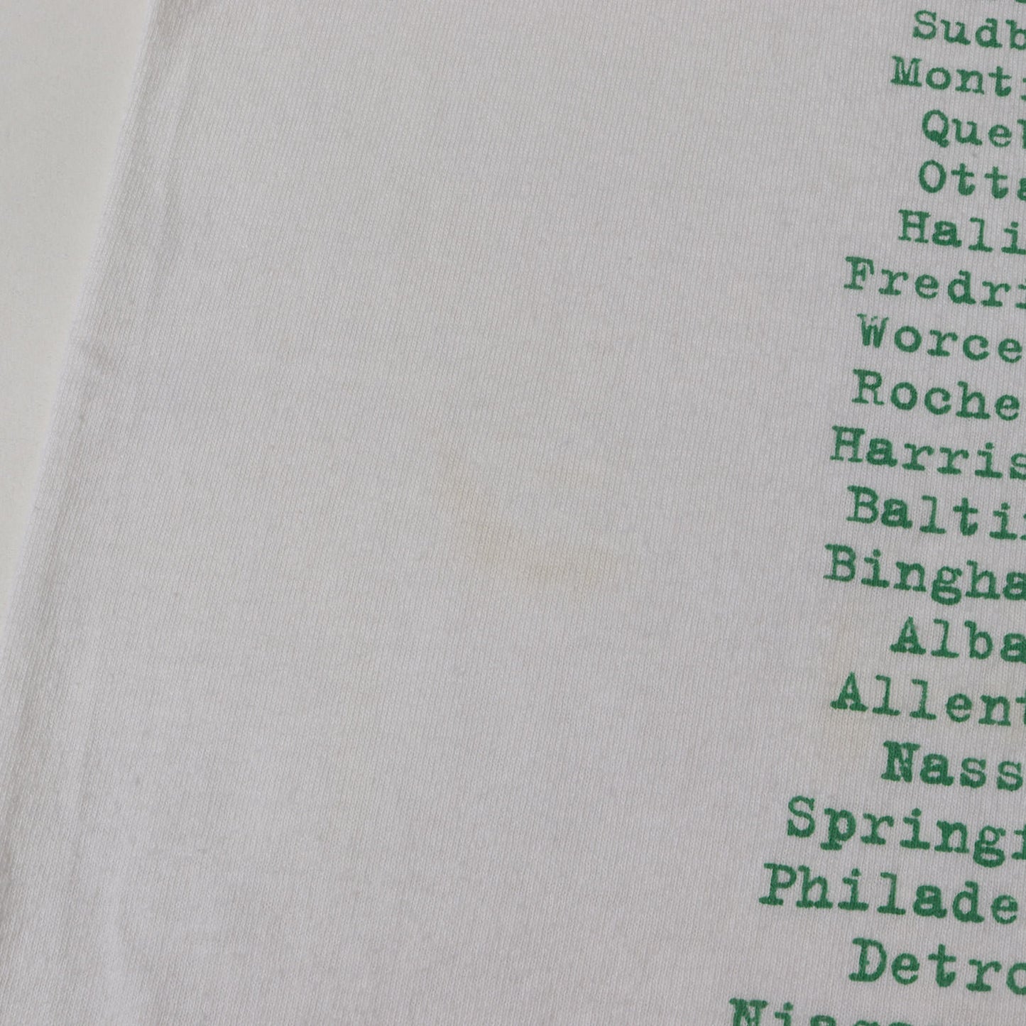 90s Green Day Insomniac Tour リンガーTシャツ(WILD OATSボディ /USA製)