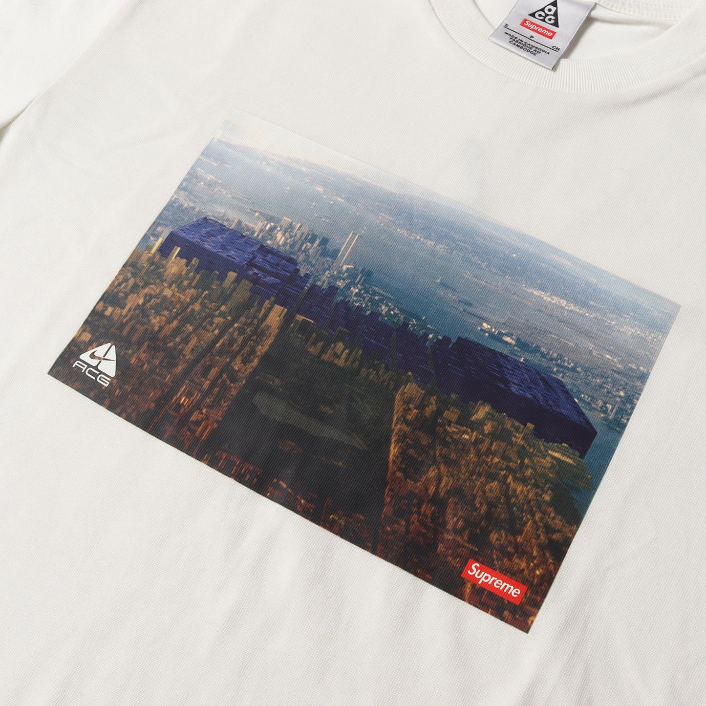 22AW ×NIKE ACG グラフィック Tシャツ(Grid Tee)