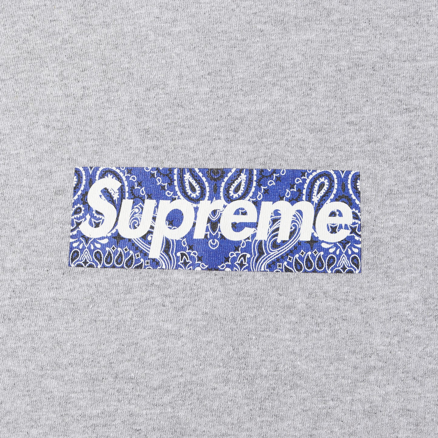 バンダナ BOXロゴ Tシャツ(Bandana Box Logo Tee)