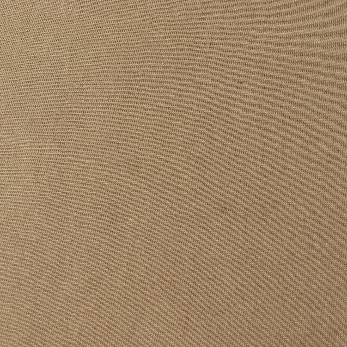 25SS ×Damien Hirst ブラックシープ Tシャツ(Tee)