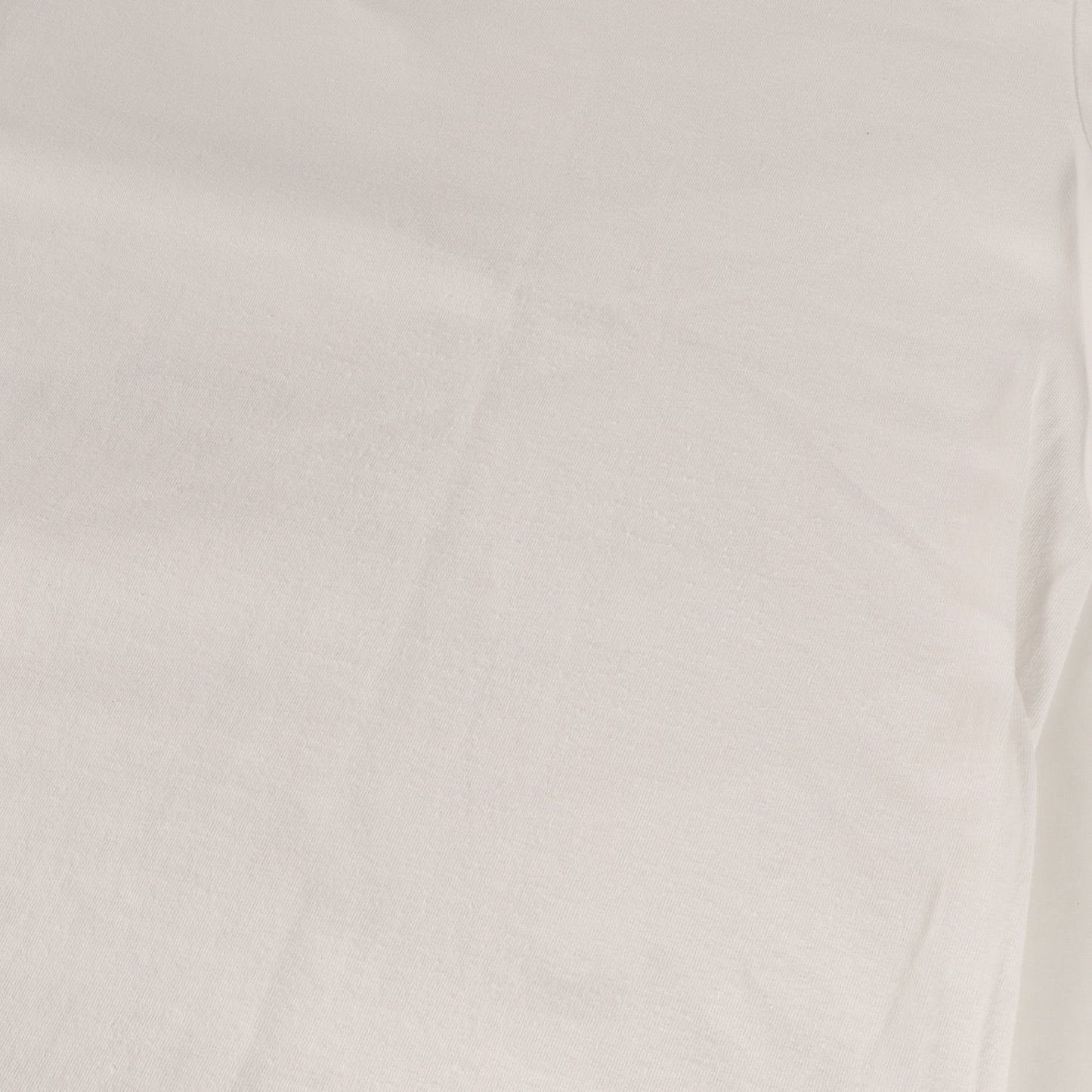 24SS サボテン グラフィック Tシャツ(CACTO / SS / COTTON)