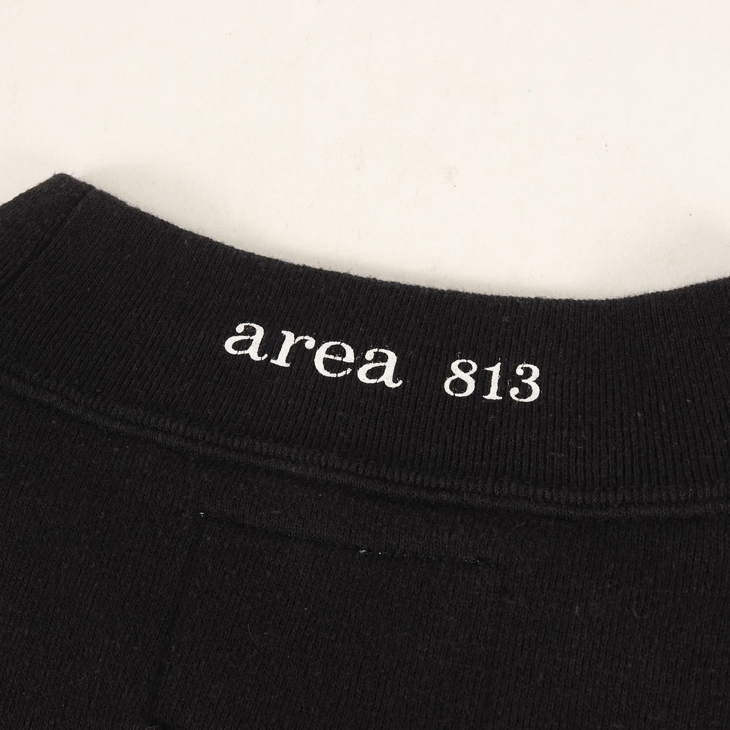 22AW ロゴ刺繍 クルーネック スウェット(AII / MOCK NECK / CTPL. WUT)
