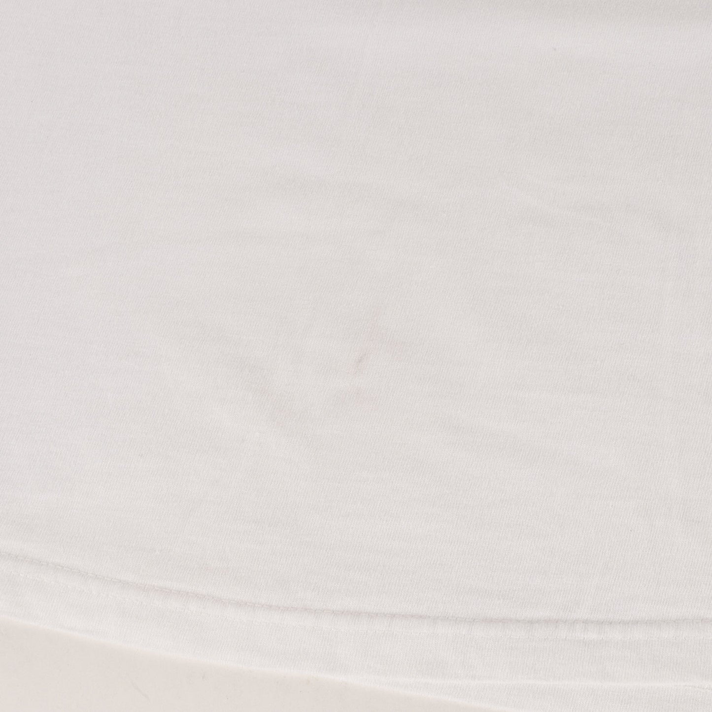 22SS ×ANTIHERO ドッグ コラボロゴ Tシャツ(Dog Tee)