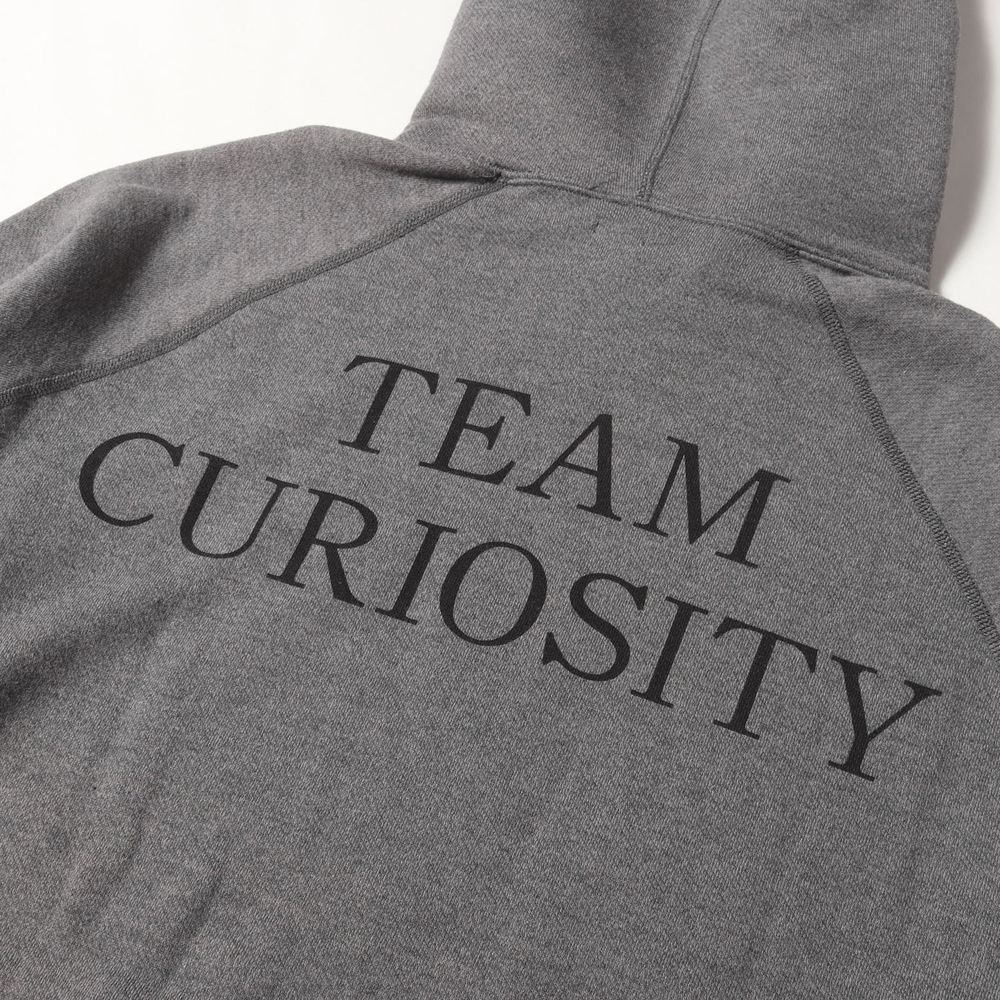 23AW TEAM CURIOSITYロゴ リバースウィーブ スウェットパーカー(HOODIE)