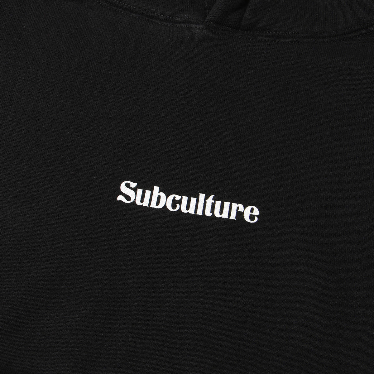 24SS スカルウィング ヘビー スウェットパーカー(SKULL WING HOODIE)