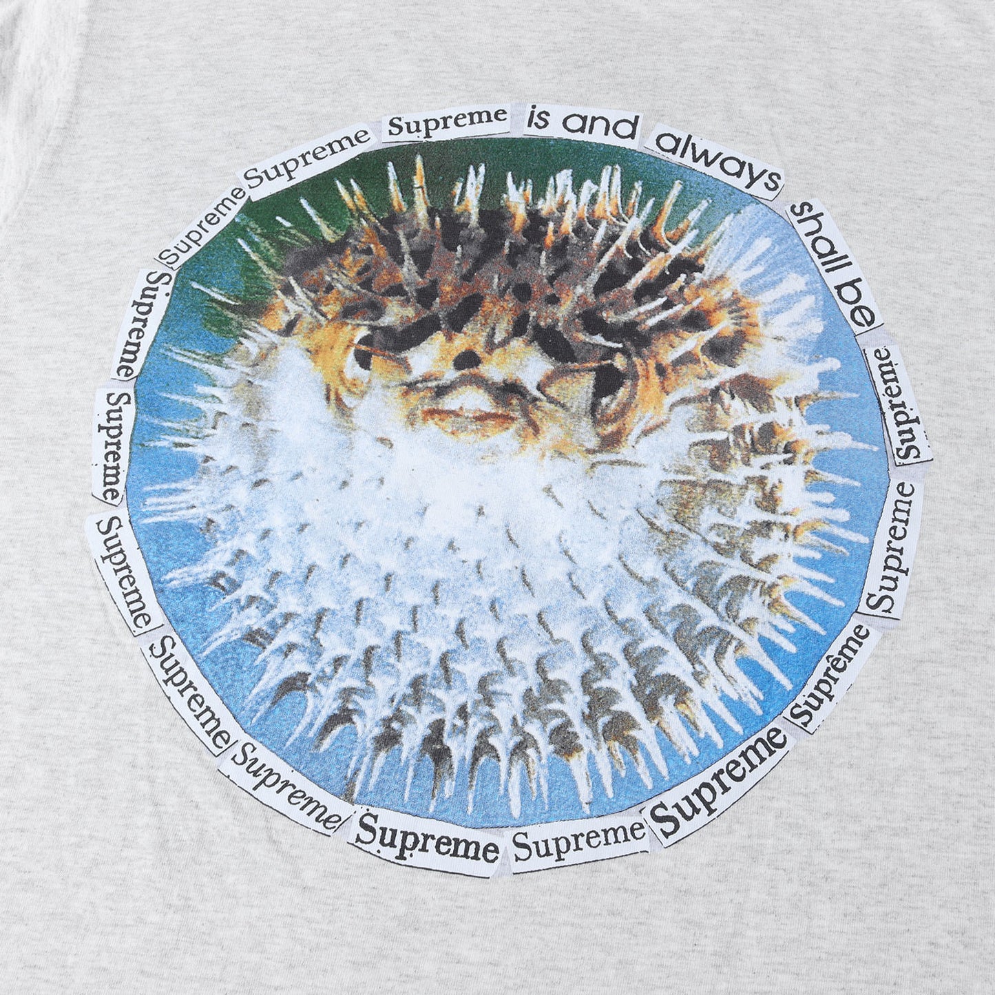 23SS ハリセンボン グラフィック Tシャツ(Blowfish Tee)