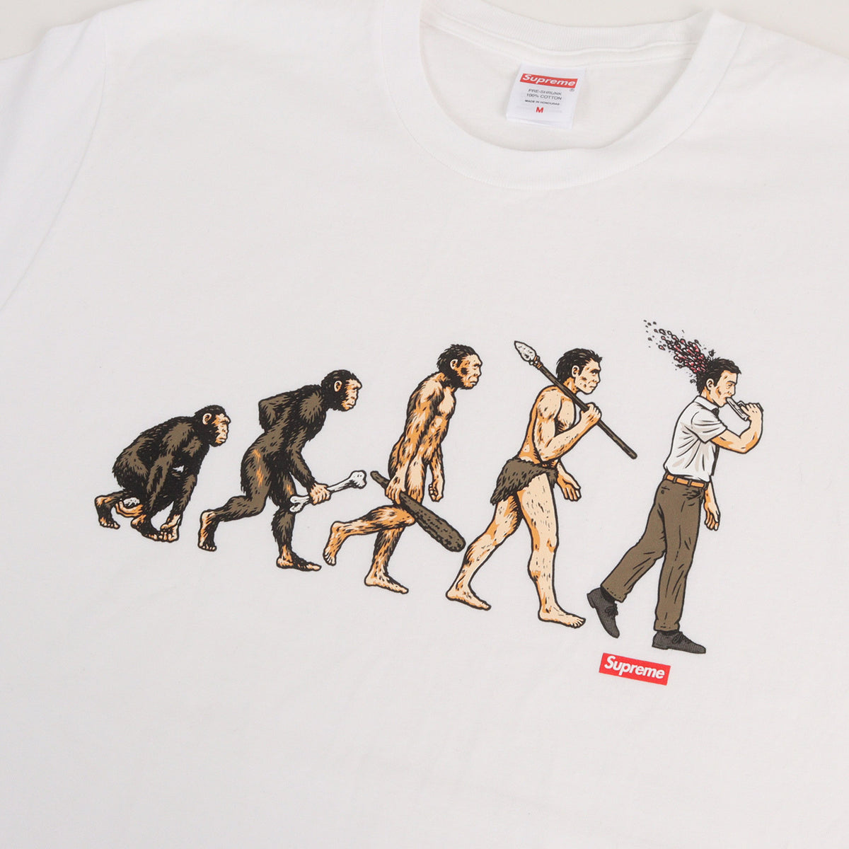 26SS エボリューション グラフィック Tシャツ(Evolution Tee)