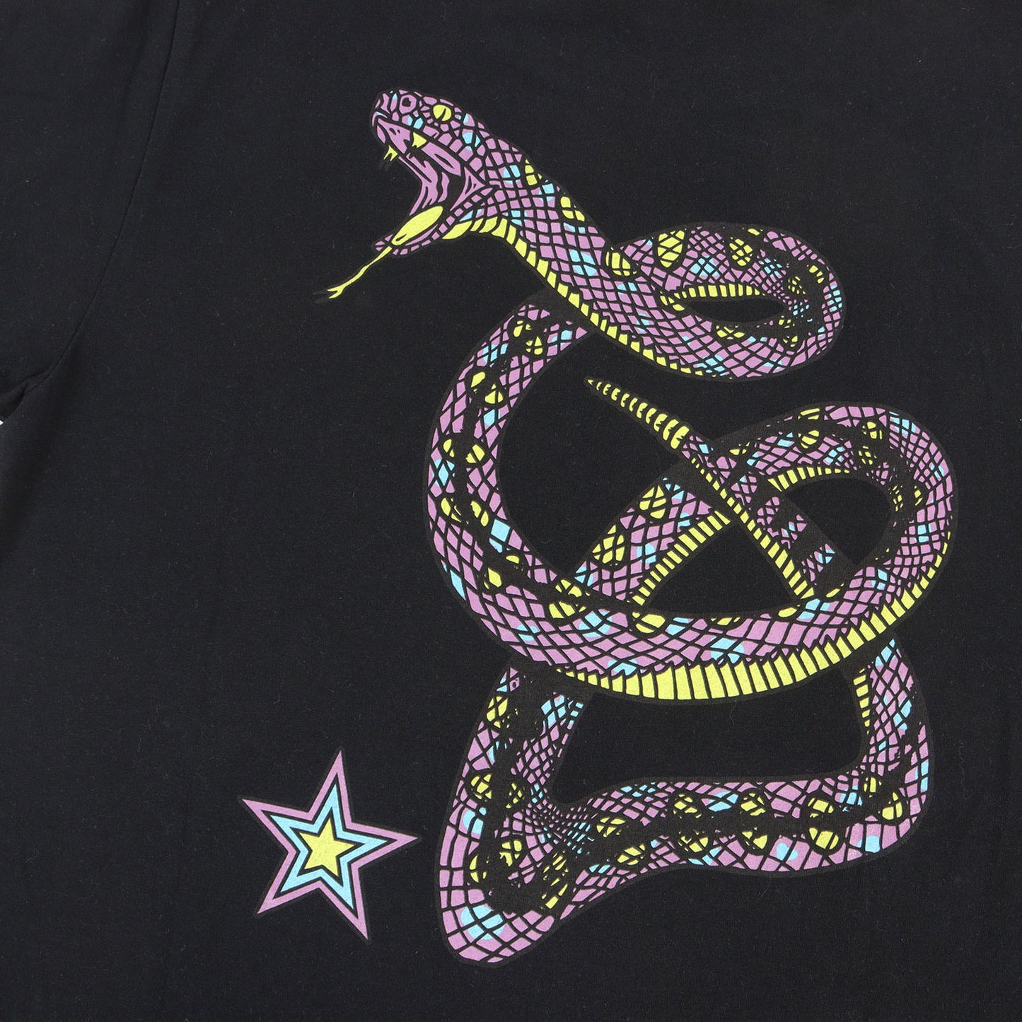 21SS スネーク グラフィック ストレッチ Tシャツ(Stretch Snake Logo T-shirt)