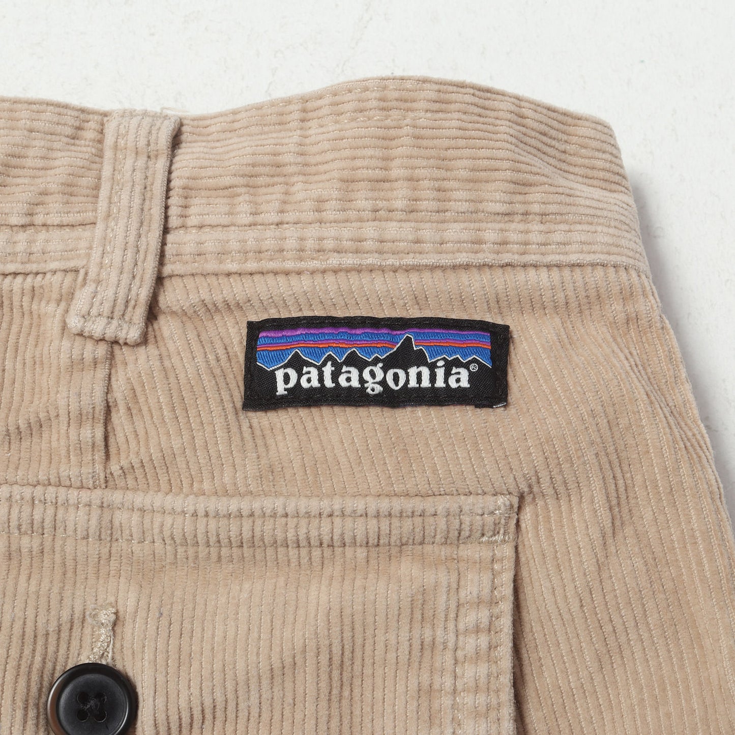 23SS オーガニック コーデュロイ ユーティリティショーツ(Organic Cotton Cord Utility Shorts-6)