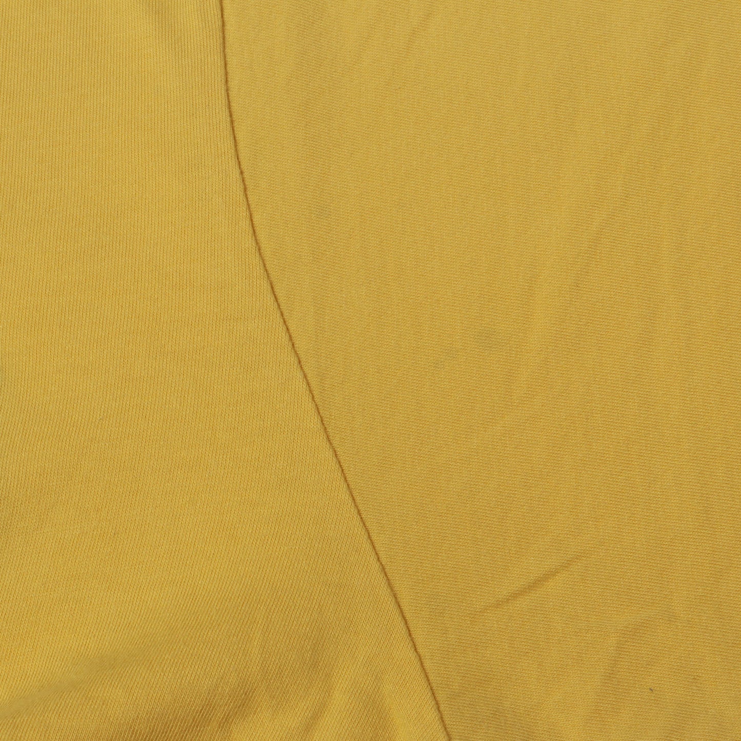 20SS インターシャ スクリプトロゴ Tシャツ(Intarsia Script S/S Top)