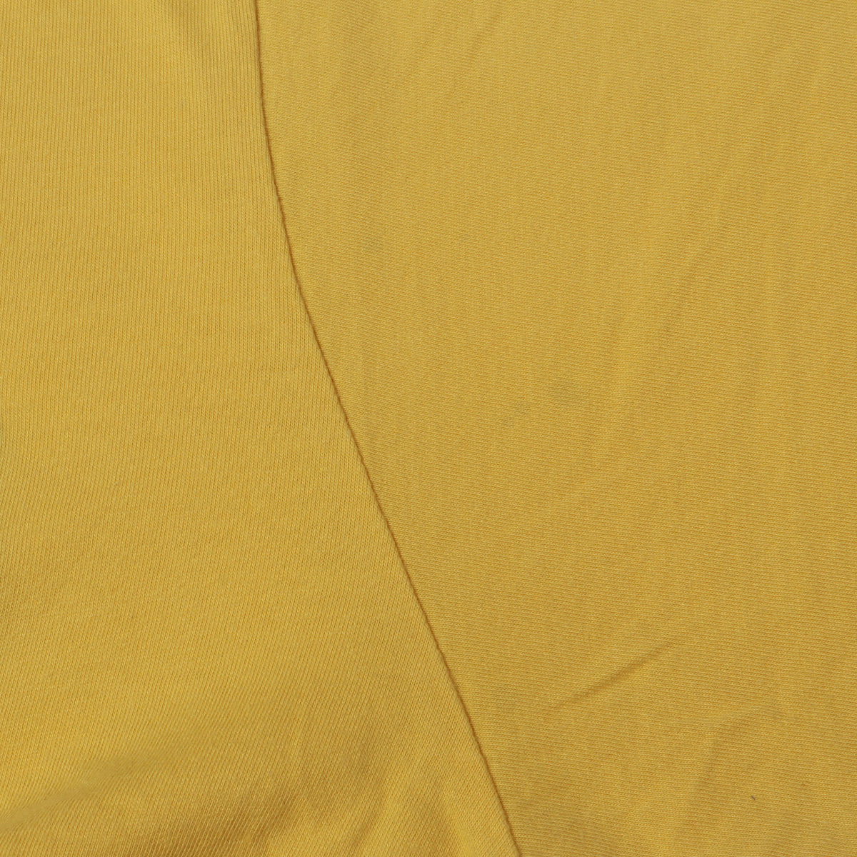 20SS インターシャ スクリプトロゴ Tシャツ(Intarsia Script S/S Top)