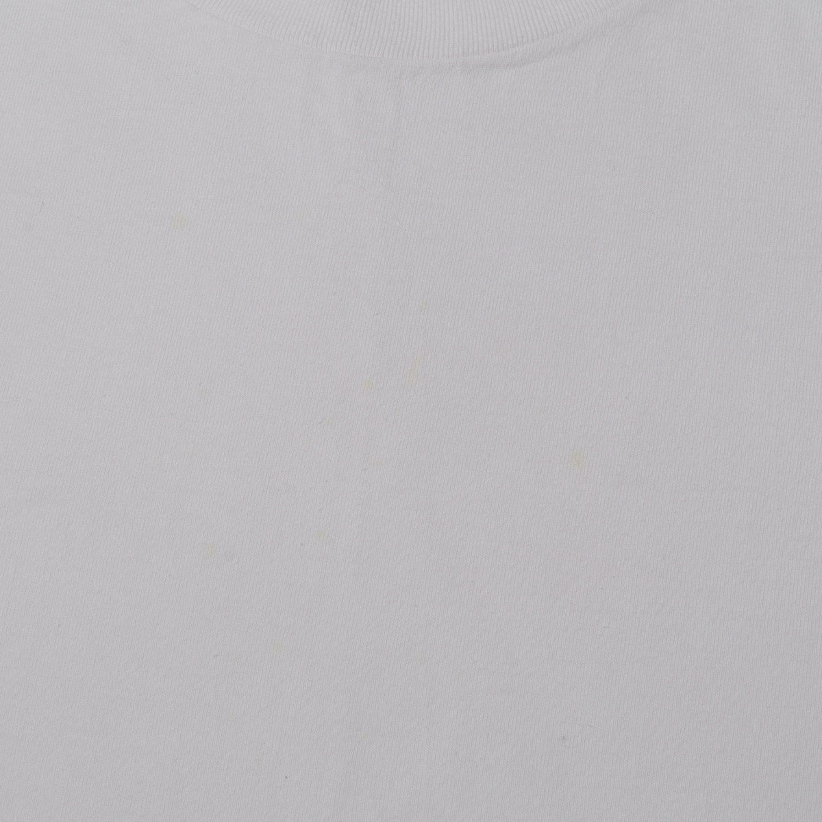 25SS ワンポイントロゴ ウォッシュド ヘビー Tシャツ(WASHED HEAVY WEIGHT COLOR T-SHIRT)
