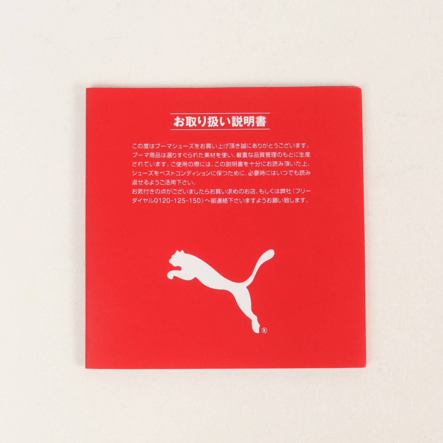 ×STAPLE SUEDE PIGEON PACK (361617-02)