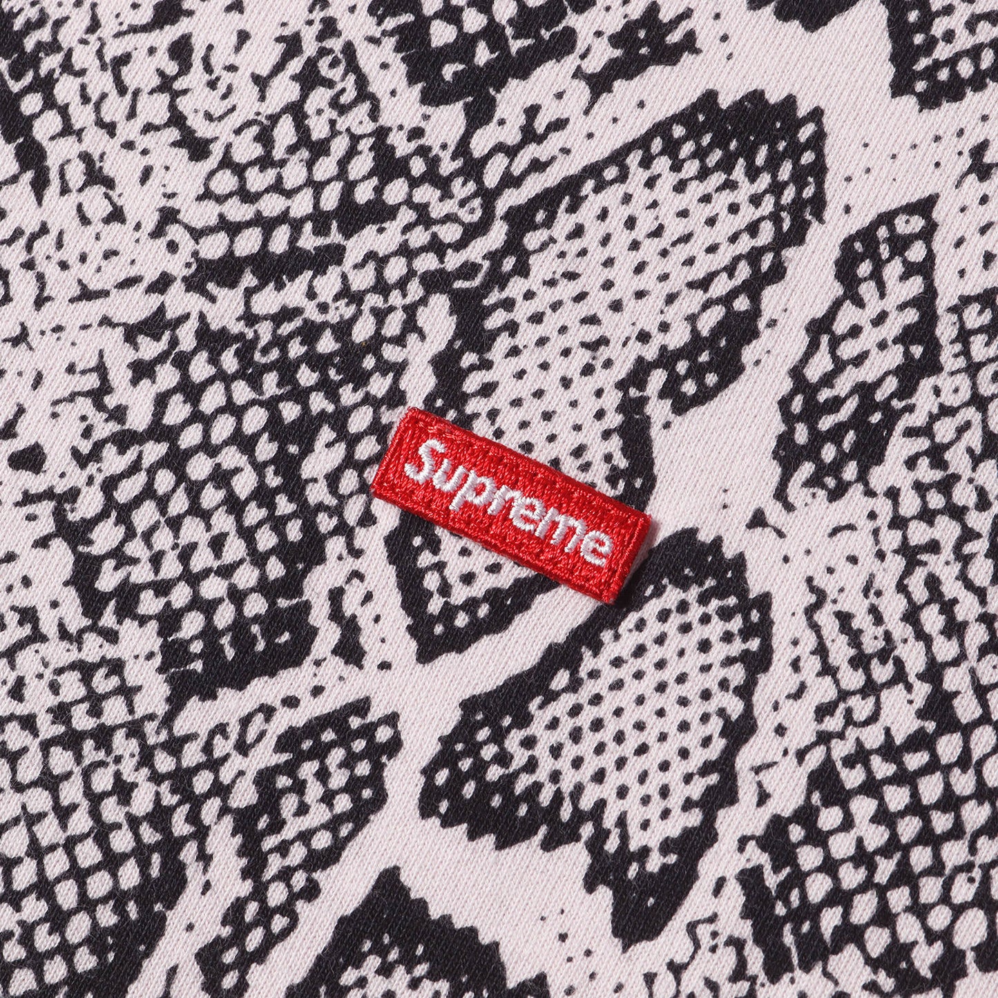 24SS スネーク柄 スモールBOXロゴ クルーネック Tシャツ(Small Box Tee)