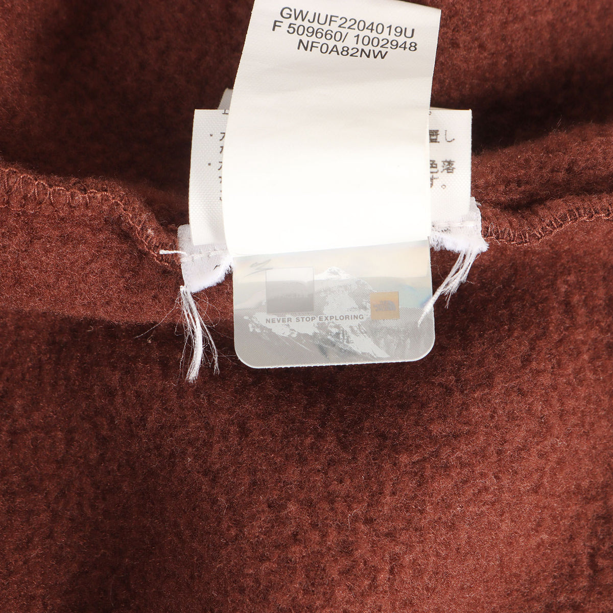 22AW ×THE NORTH FACE Steep Tech プルオーバー フリース ジャケット(Steep Tech Fleece Pullover)