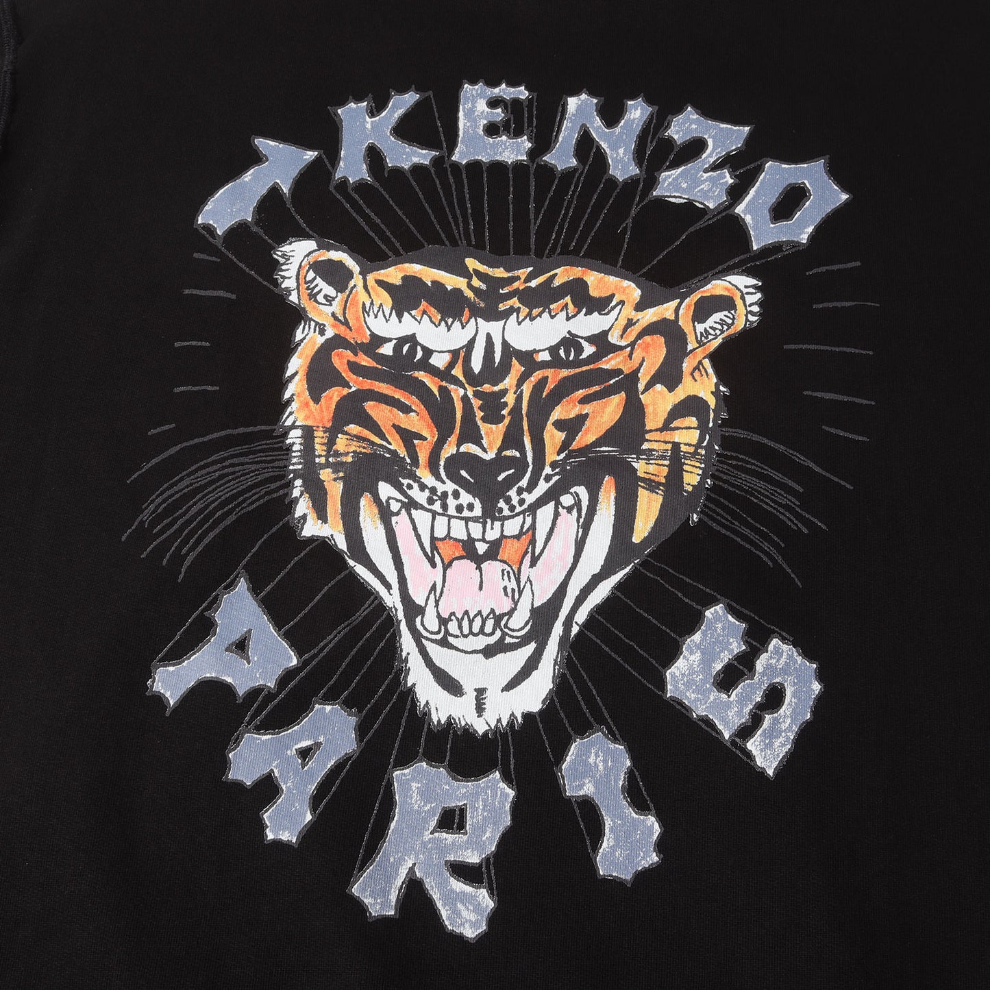 24SS バック タイガー プリント スウェット パーカー (Drawn Varsity Oversize Hoodie FE55SW1764MF)