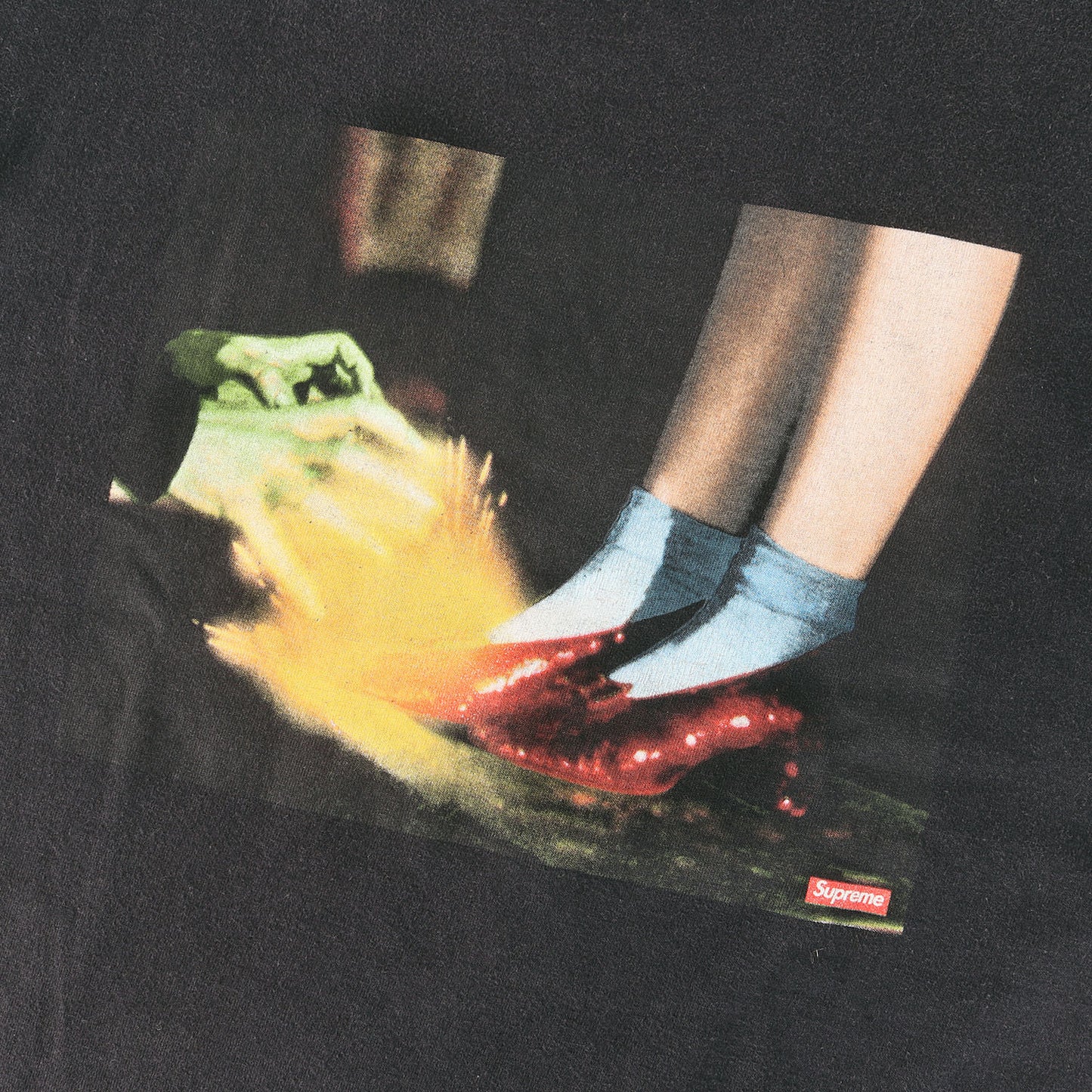 オズの魔法使い ドロシー フォト Tシャツ(Dorothy Tee)