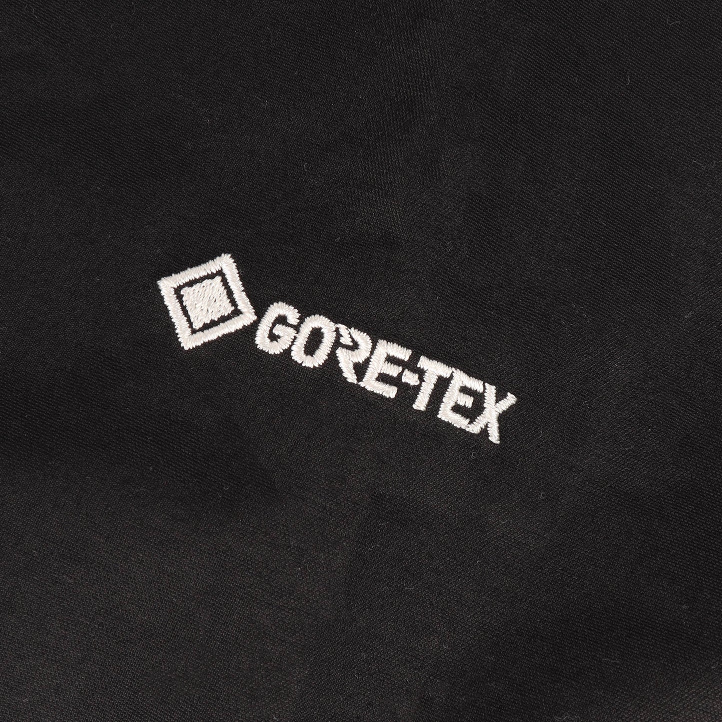 21SS GORE-TEX マウンテン ライトジャケット (Mountain Light Jacket)