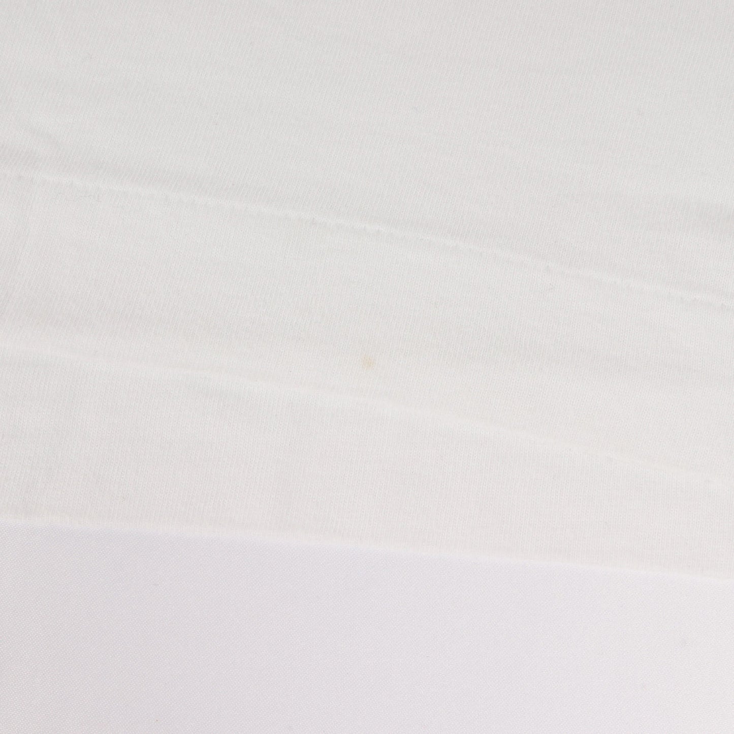 MY ENERGY COMES FROM FREEDOM スローガン ロゴ バインダーネック Tシャツ (PE-T064) / AD2017